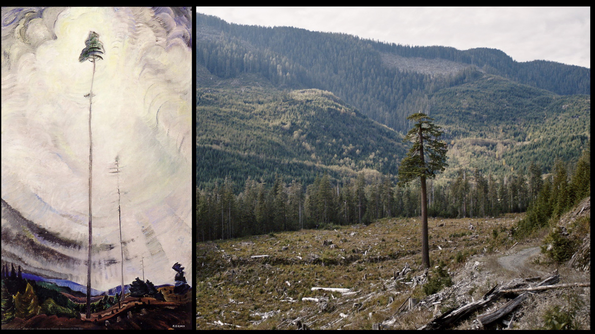 150 Stories that Shape British Columbia - E49 - Emily Carr 150 Stories that Shape British Columbia - E49 - Emily Carr
