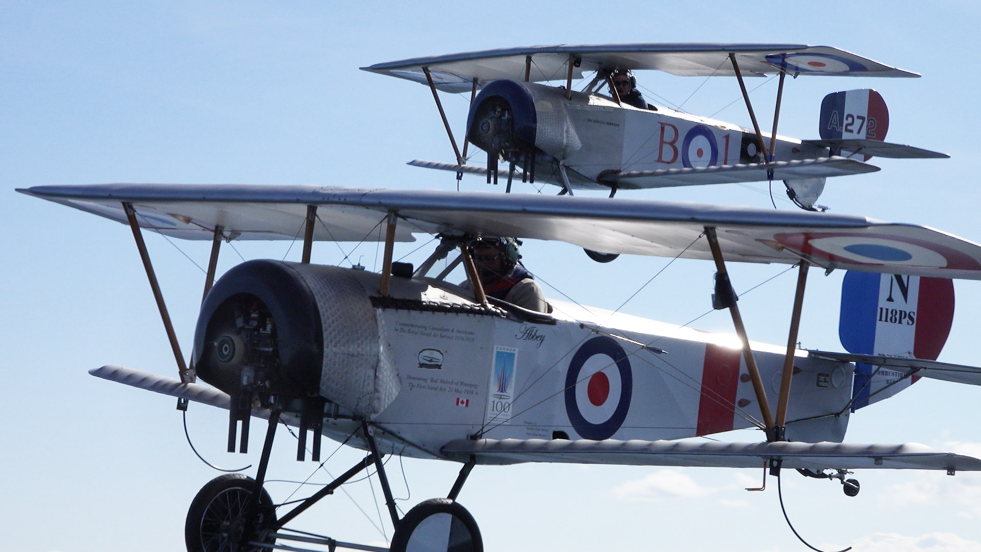 Wings of Courage Wings of Courage