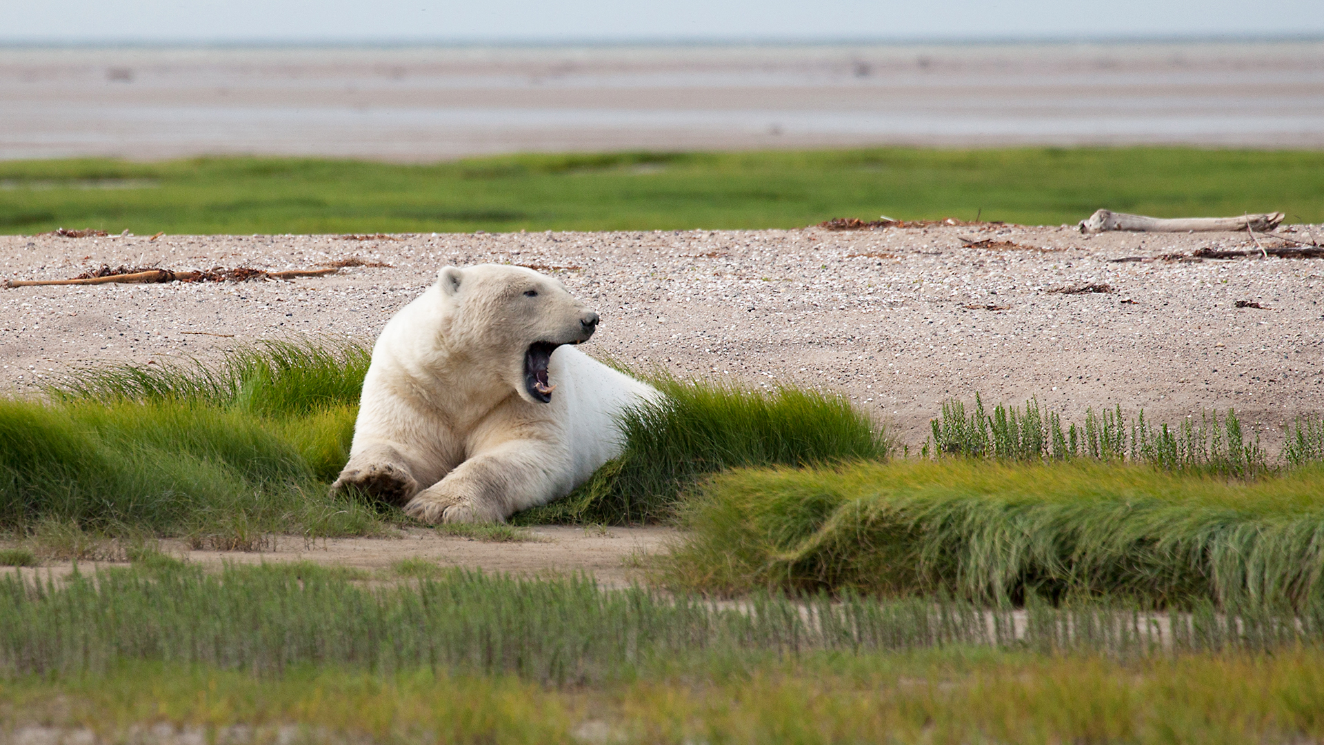 Angry Planet - E10 - Polar Peril