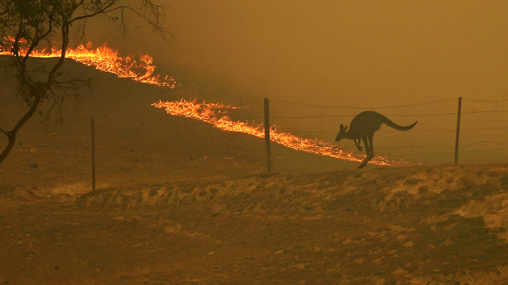 Angry Planet - E5 - Burning Australia