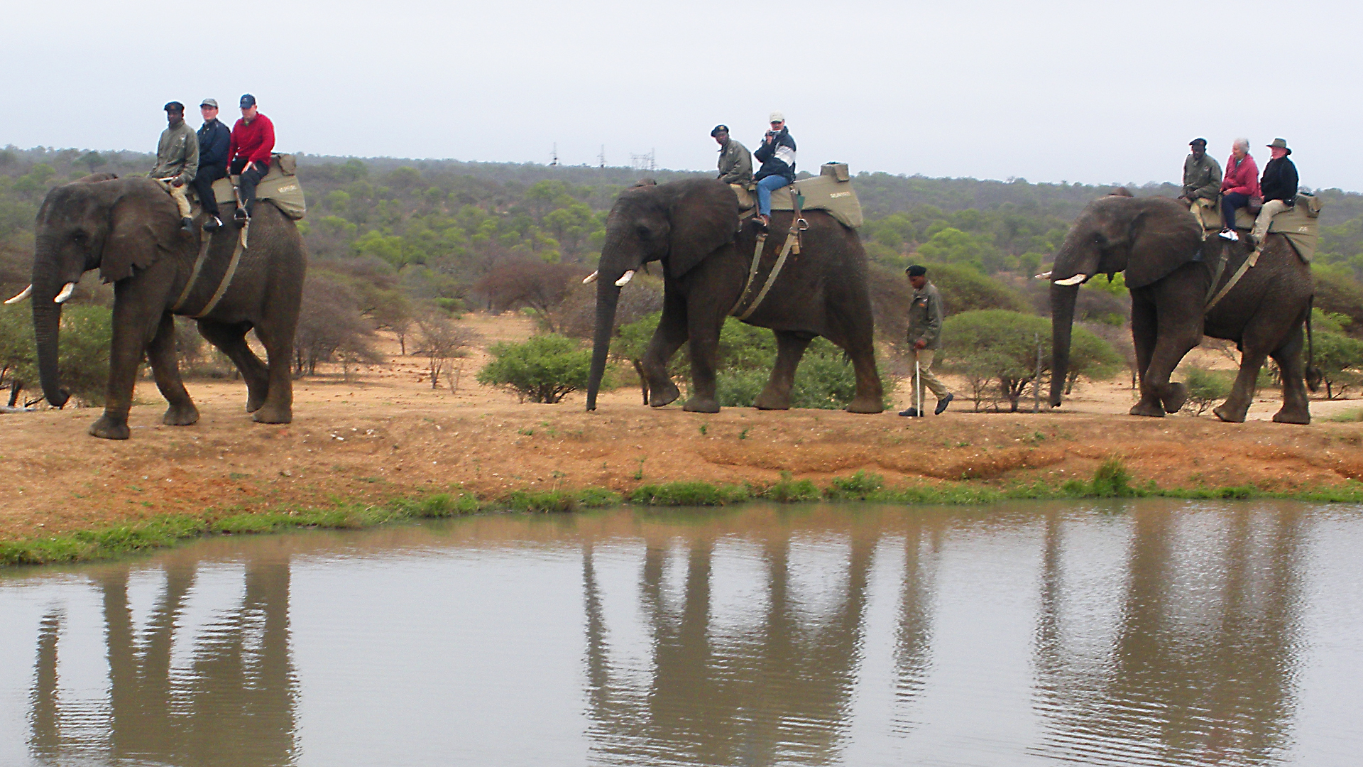 Animals at Work - S1E19 - Jabulani Elephant Guide