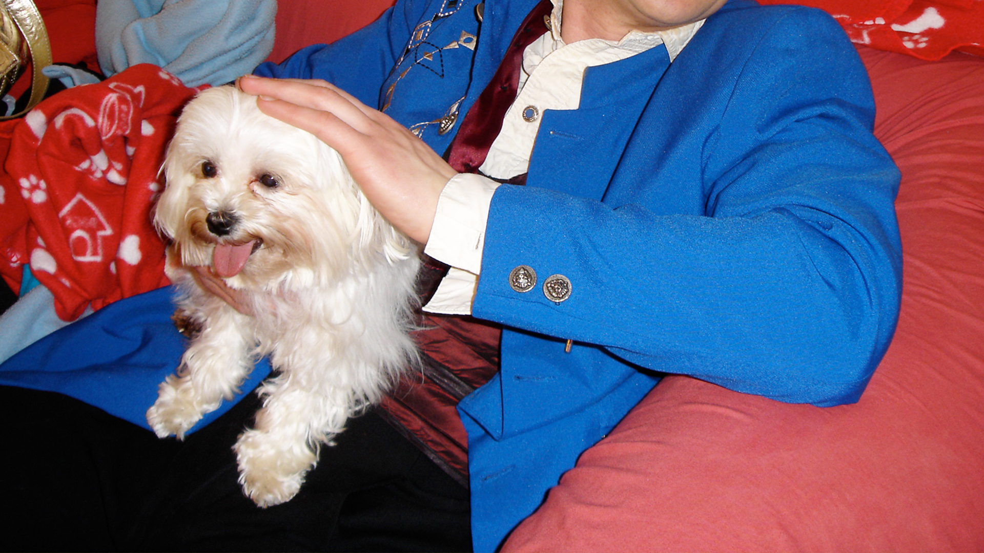 Animals at Work - S1E1 - Tinker Magician's Assistant