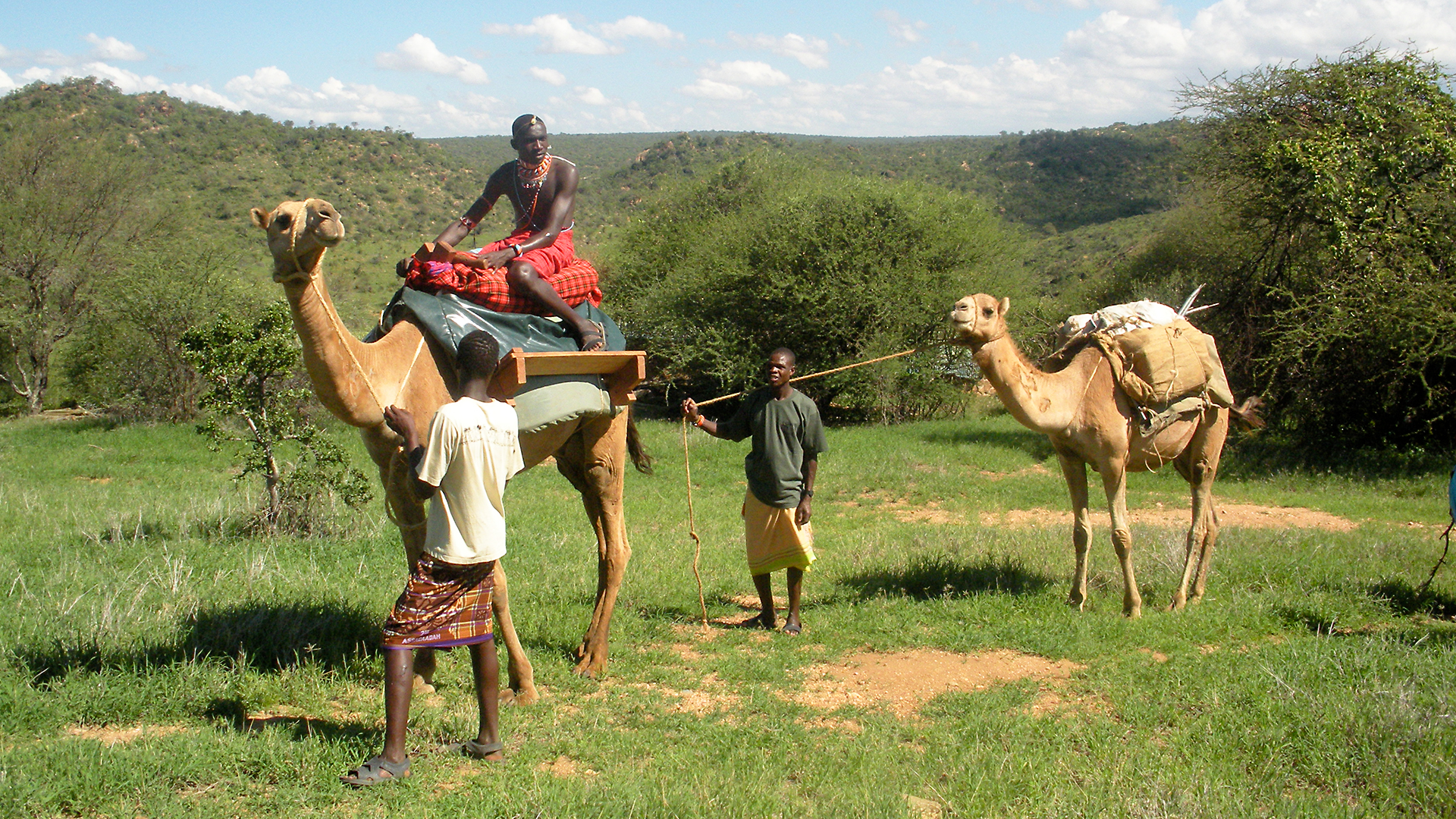 Animals at Work - S1E21 - Rasto Trekking Camel