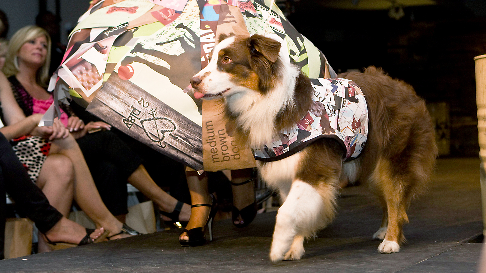 Animals at Work - S1E22 - Pet Fashion Week