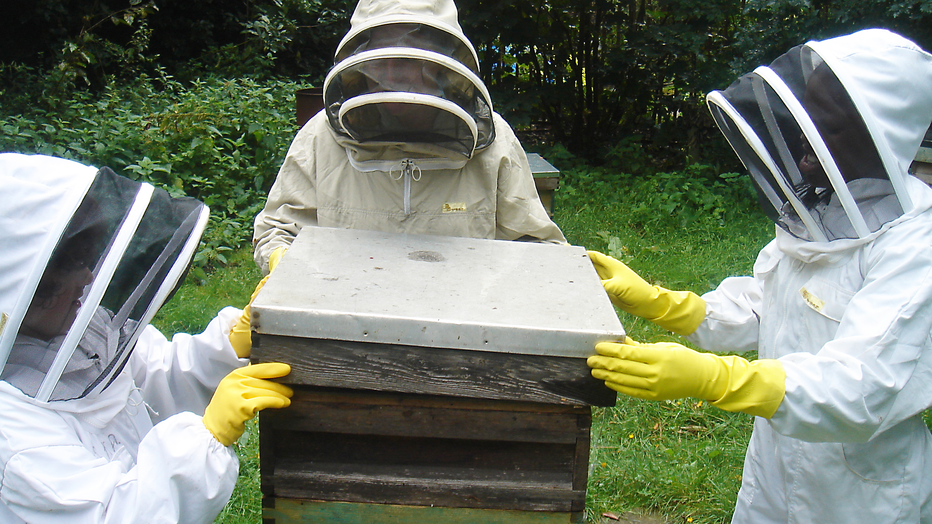 Animals at Work - S1E26 - Billy Bee Boy