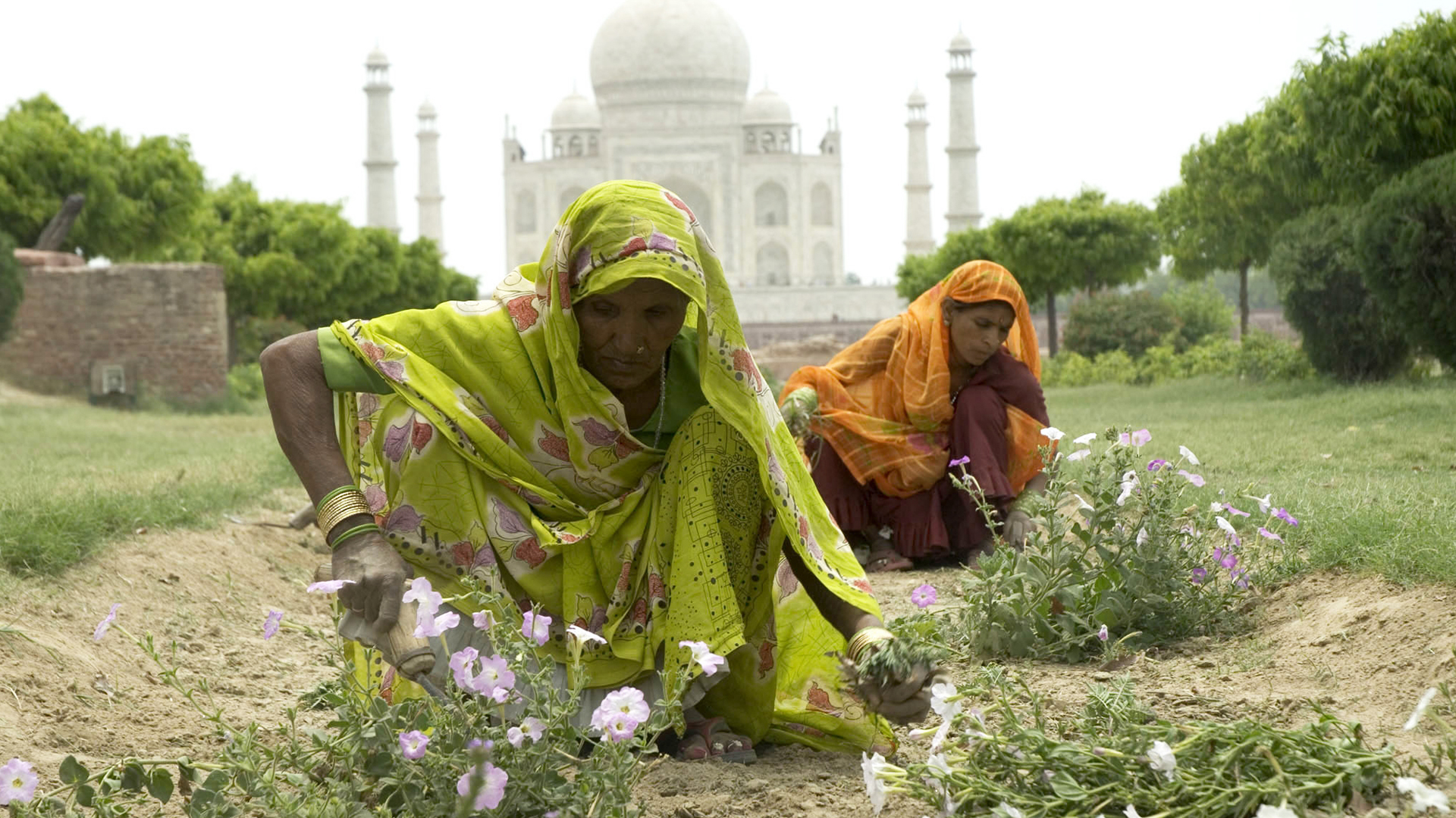 Around the World in 80 Gardens - E3 - India