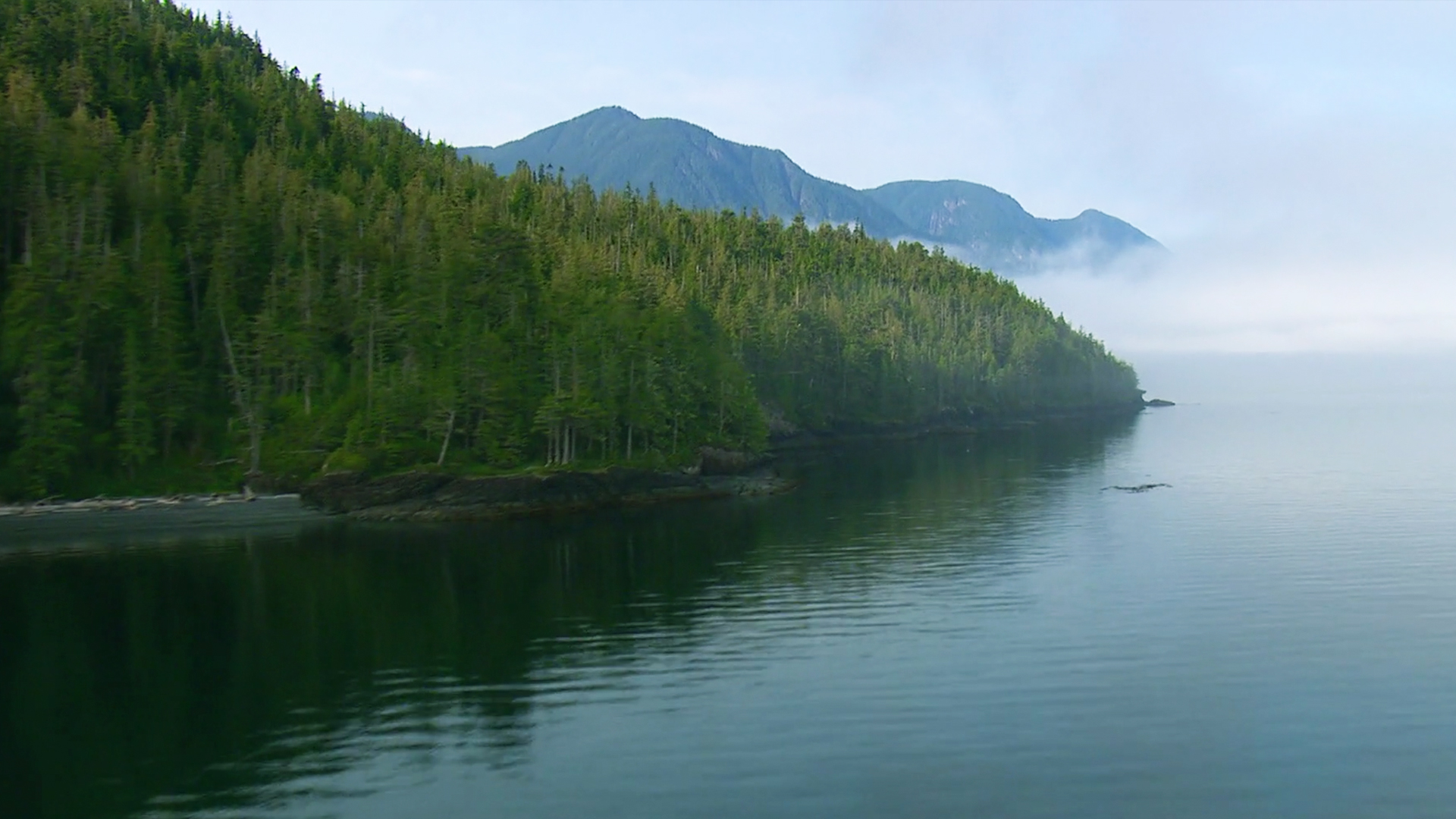 Canada Over the Edge: British Columbia - S2E9 - Johnstone Strait