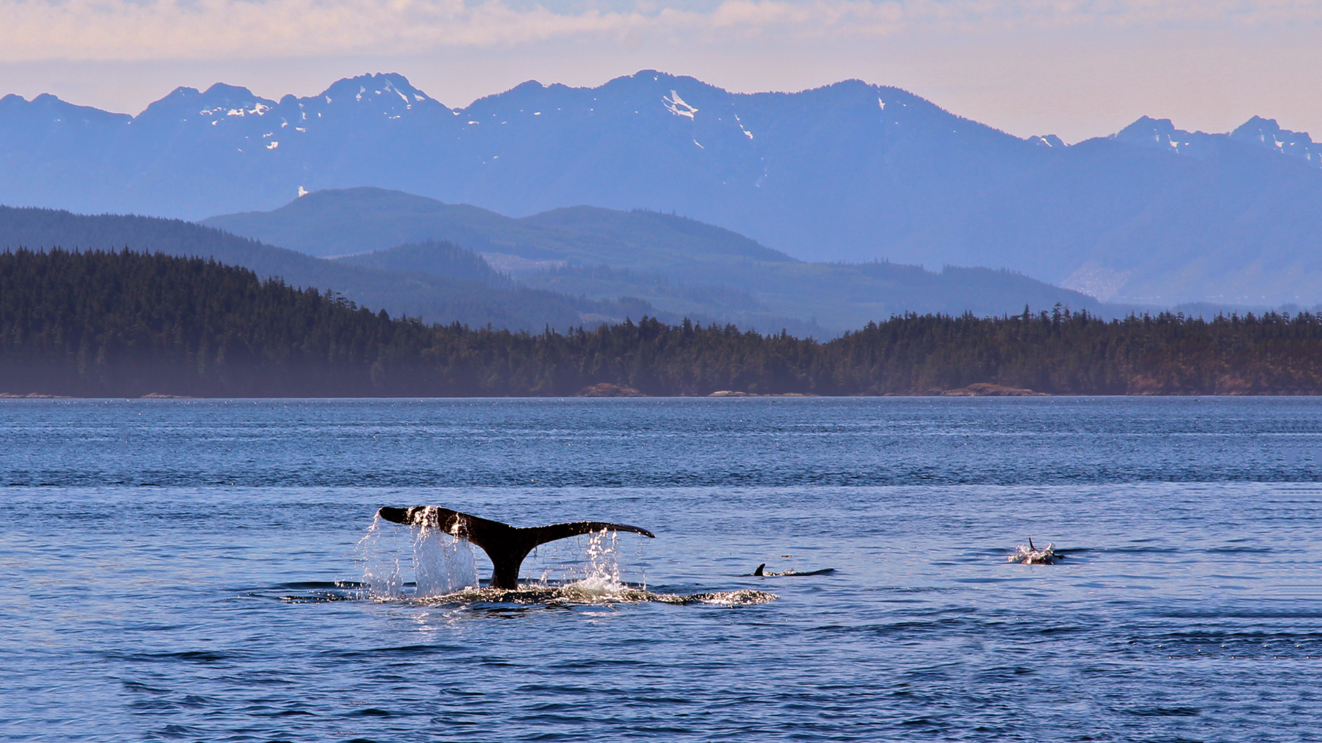 Canada Over the Edge - S2E3 - Vancouver Island North