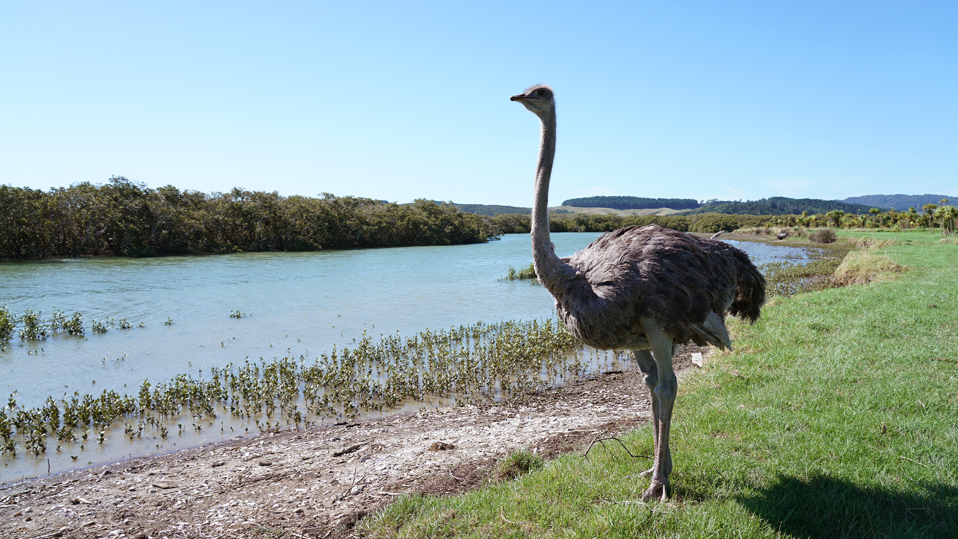 Coast New Zealand - S3E5 - Kaipara