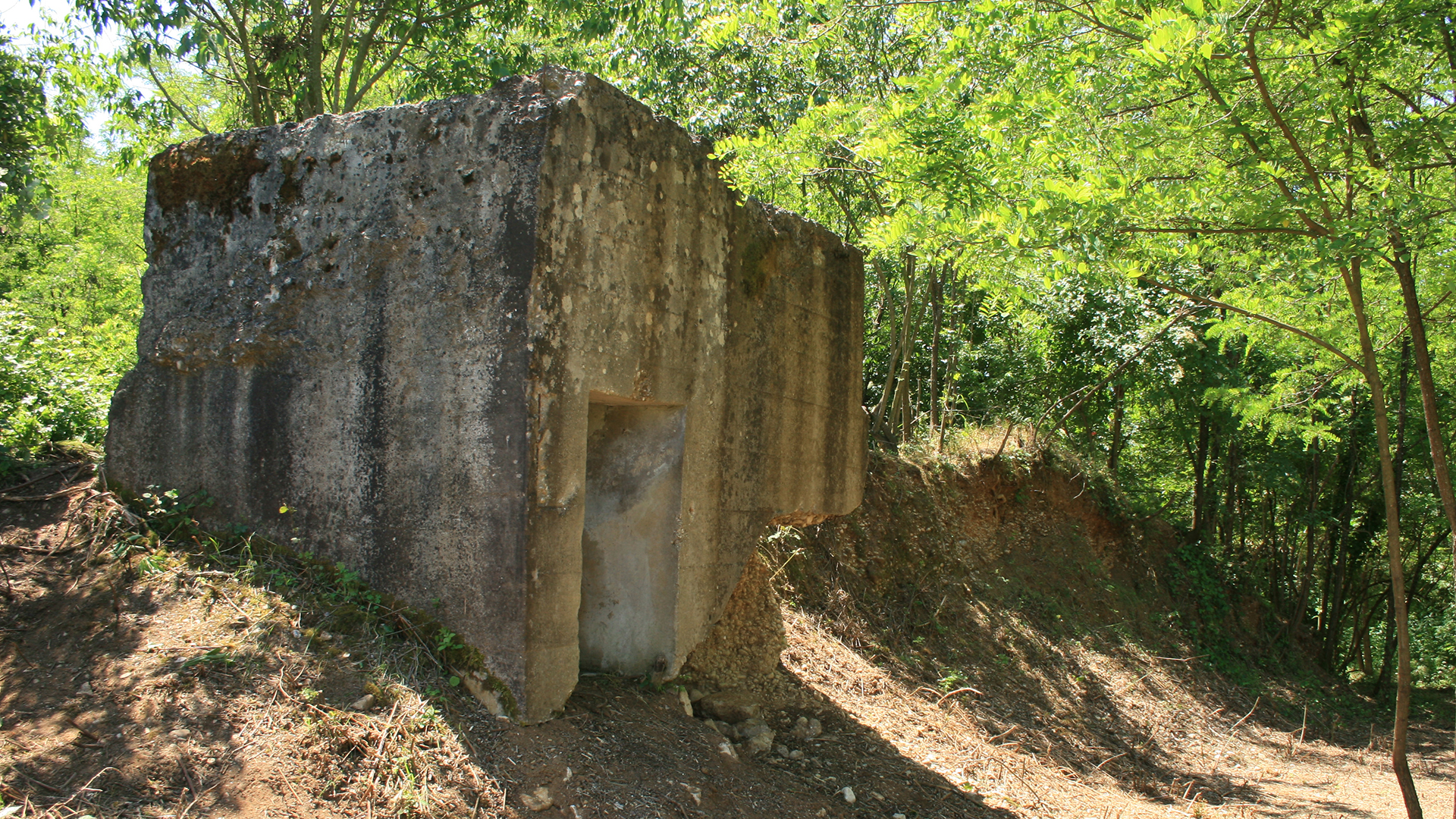 Dig WW2 - E2 - Dig WW2