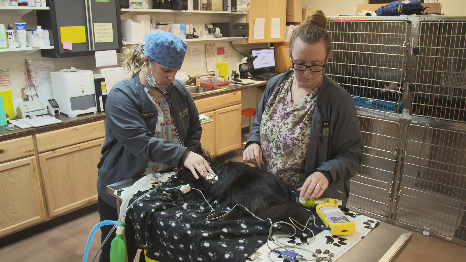 Doctor Barry - E2 - When Dogs Bite