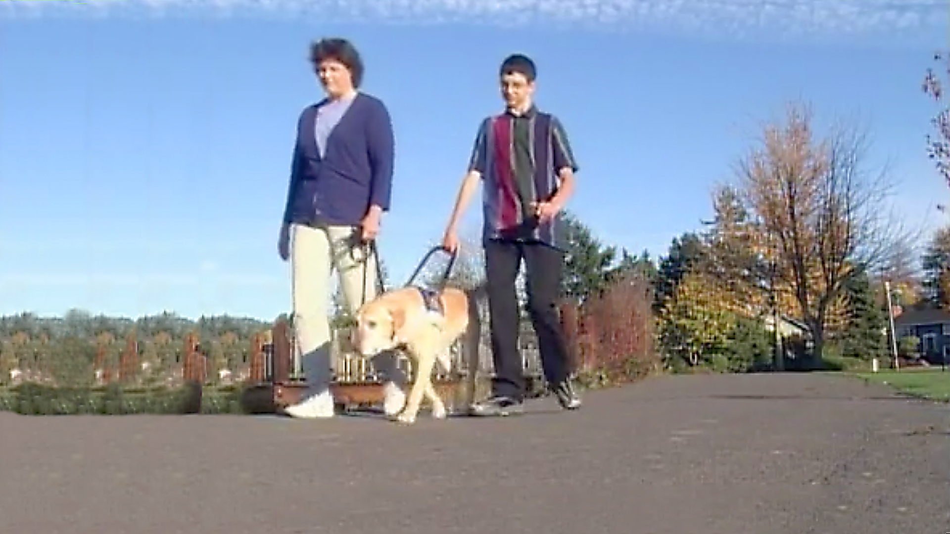 Dogs With Jobs - E20 - Tombre, Rosa and Gabe