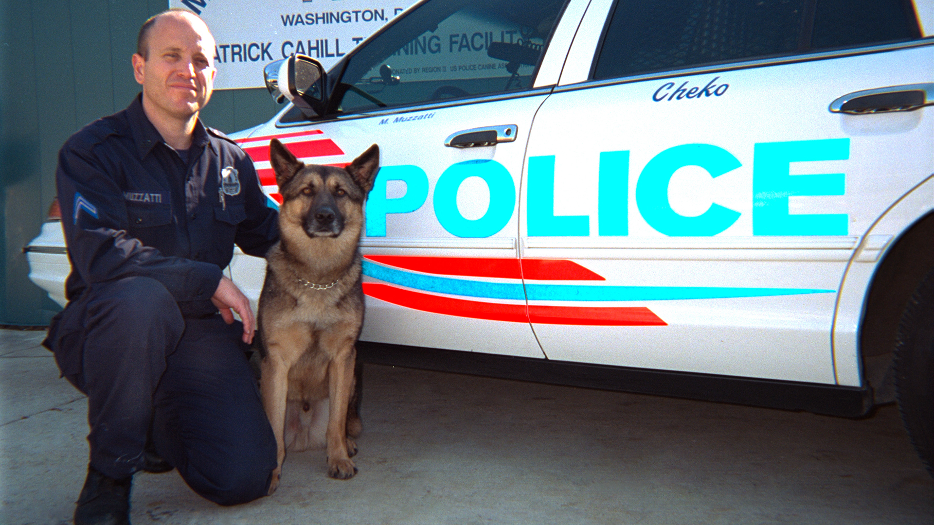 Dogs With Jobs - E33 - Cheko, Ben and Sam