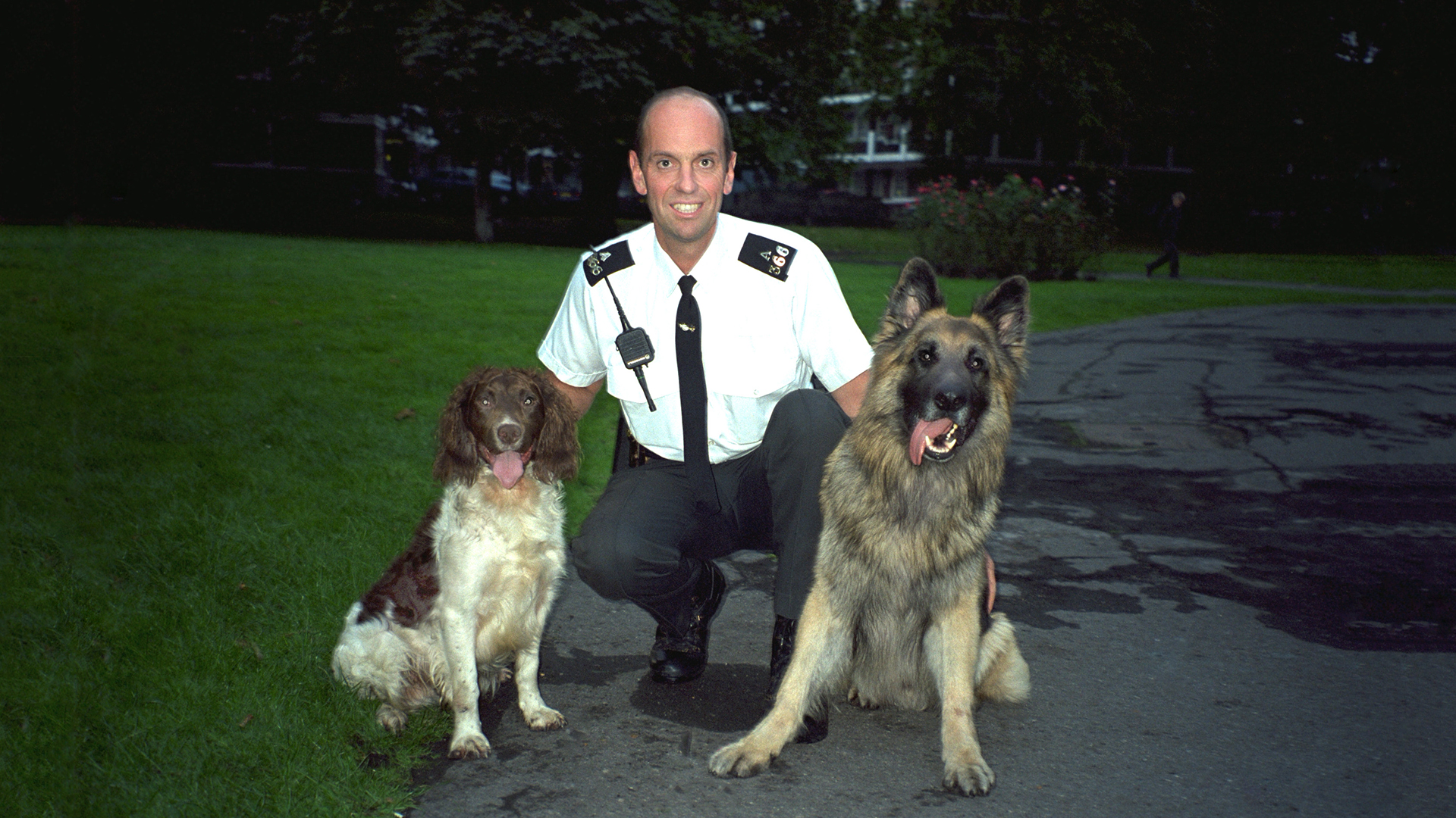 Dogs With Jobs - E35 - Speedy, Bruce Wayne and Mr. Gomez