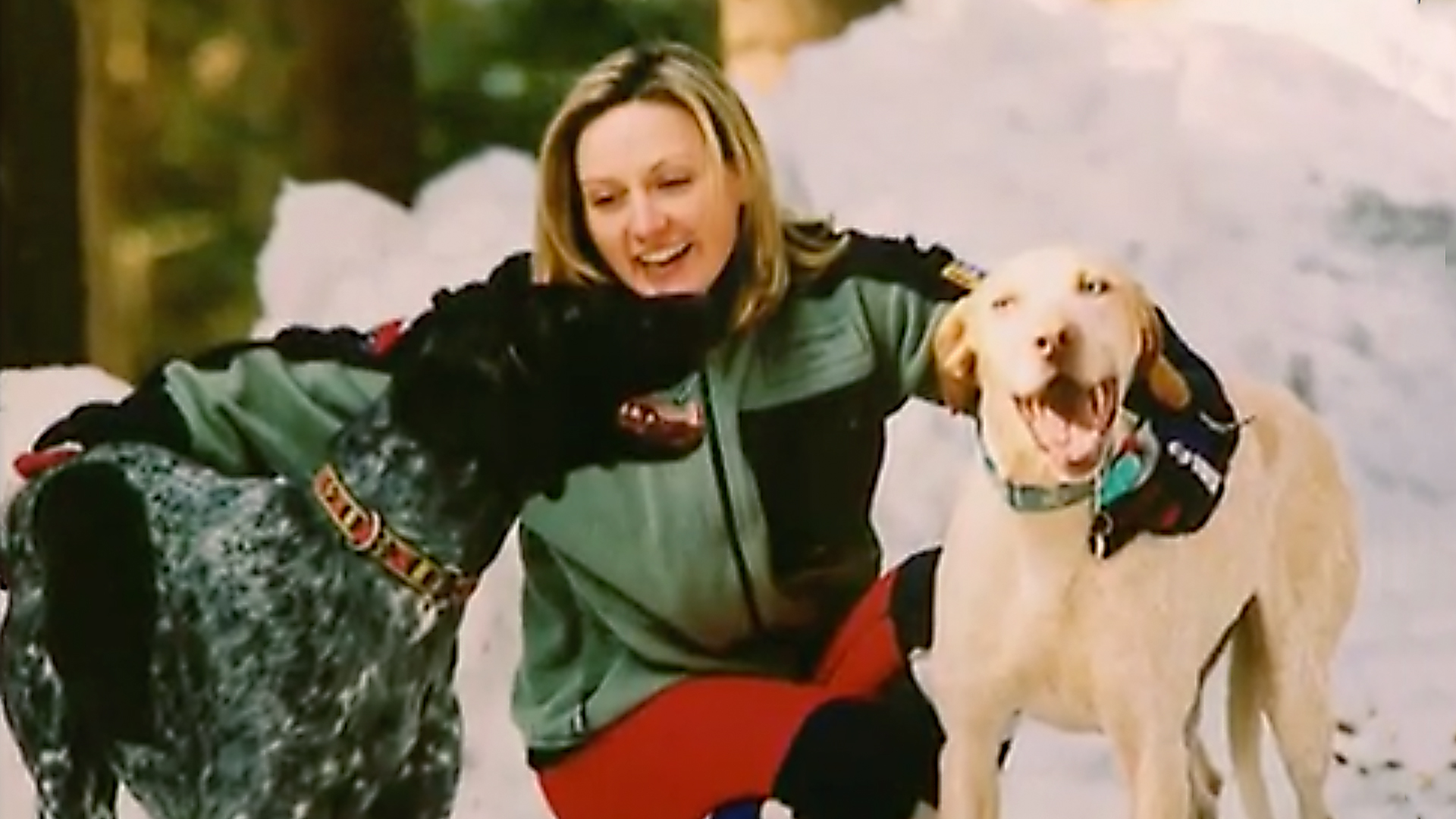 Dogs With Jobs - E62 - Pay, Fergus and Blossom