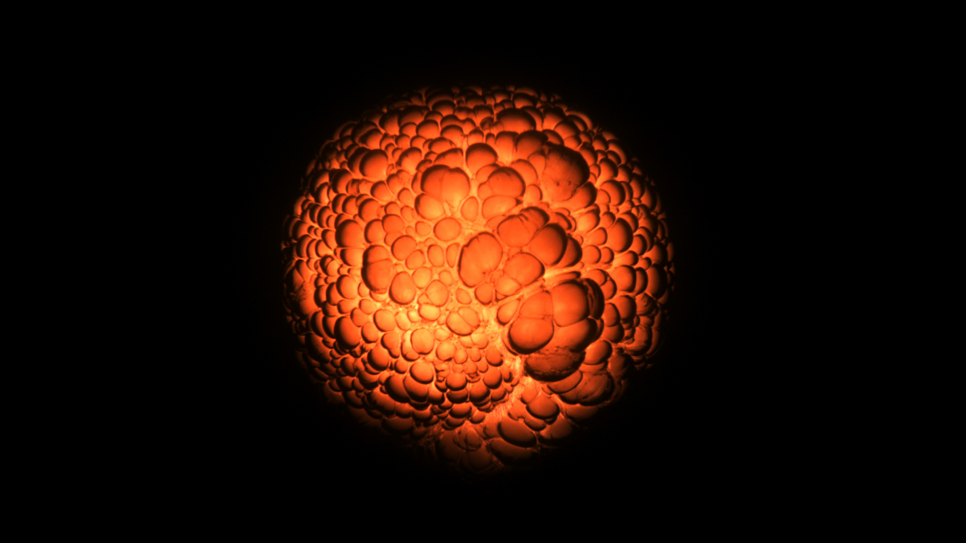 Everything & Nothing - E1 - Everything