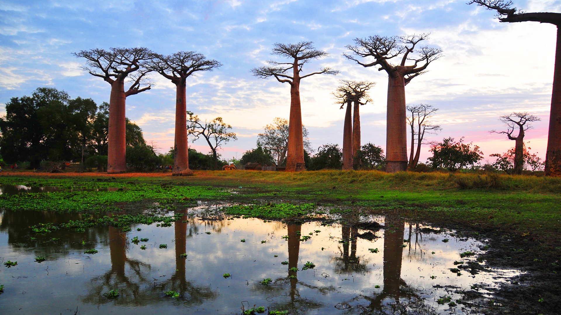 Globe Trekker Africa - E2 - Madagascar