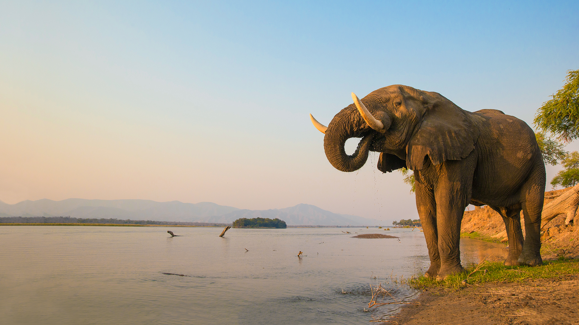 Globe Trekker Africa - E3 - Zambia and Malawi