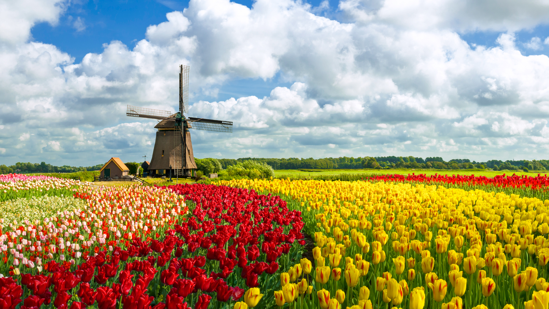 Globe Trekker Europe  - E6 - The Netherlands