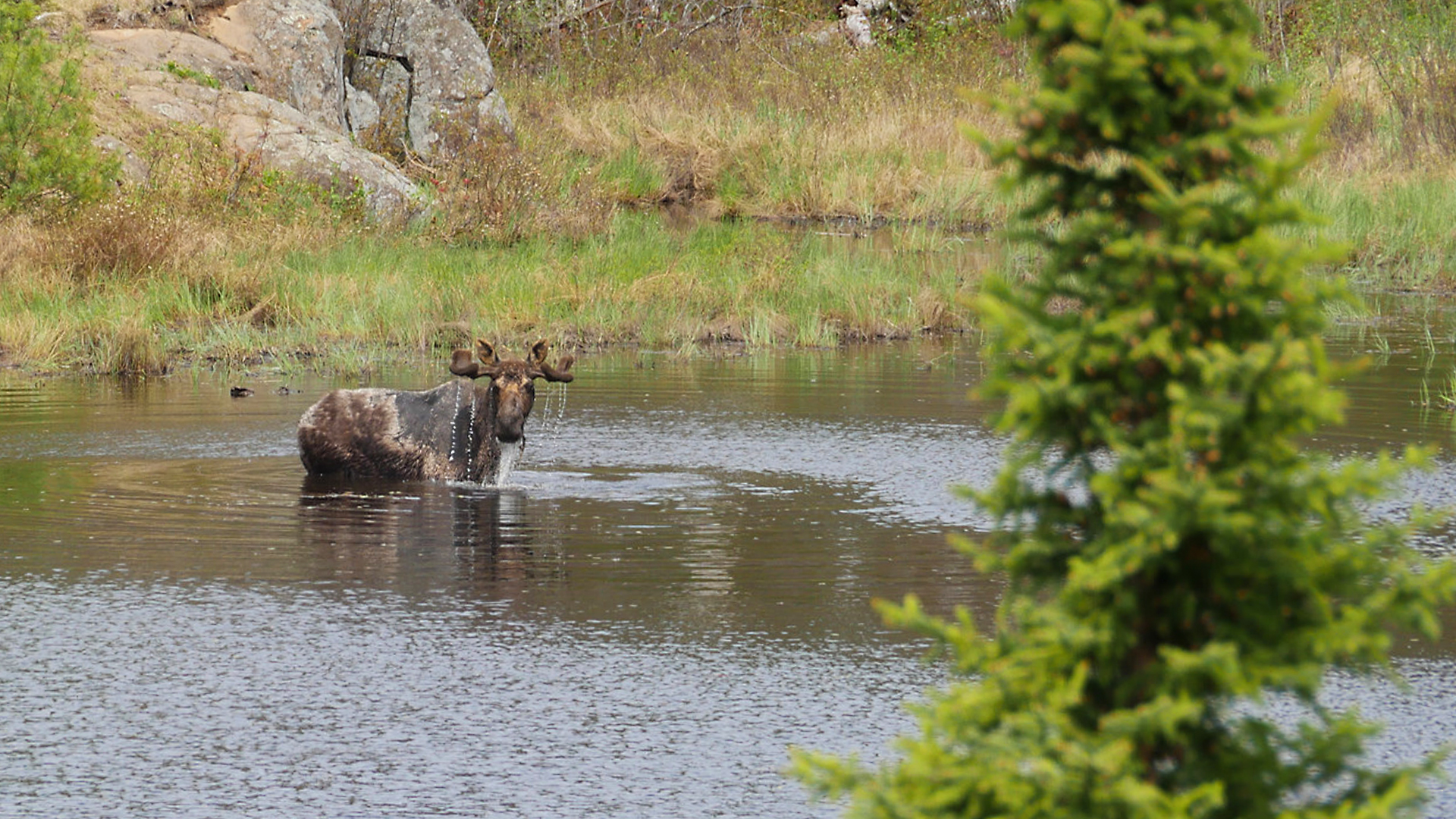 Great Lakes Wild - E1 - Isle Royale