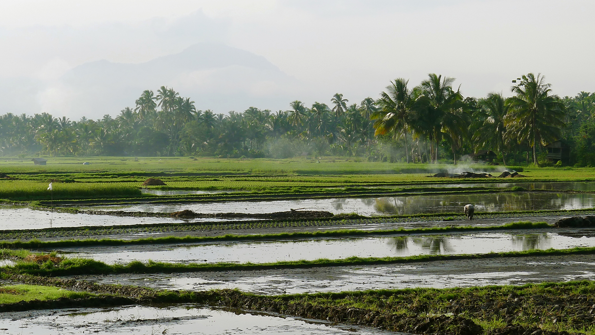 Hidden Cities of Asia - E9 - Sumatra