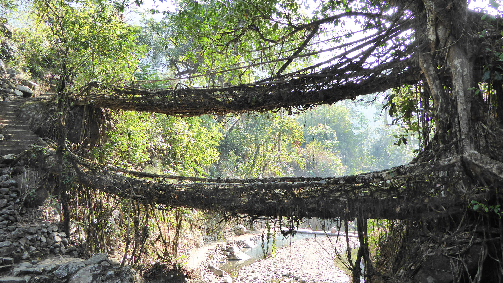 Hidden India: nature's Wonderland - E3 - Land of Rivers