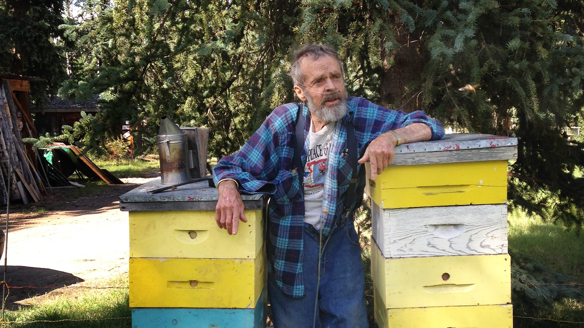 How to Bee How to Bee