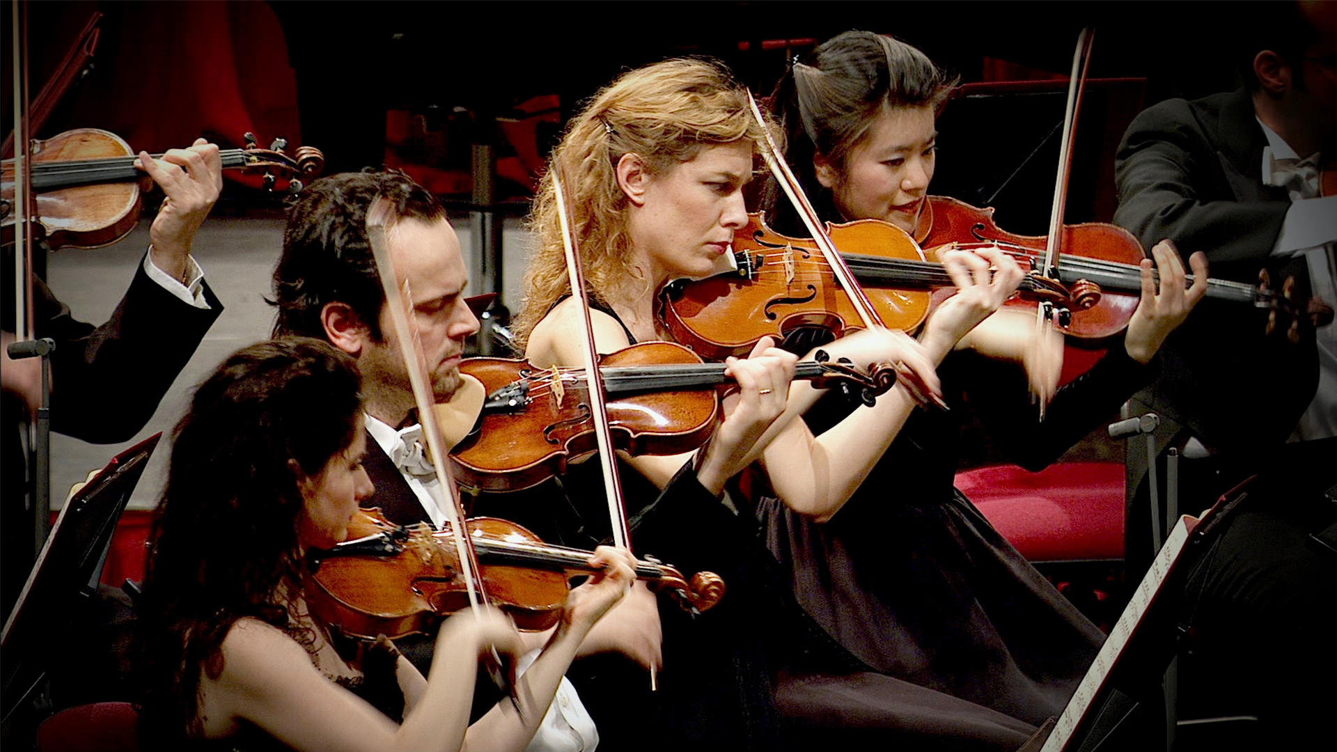 In Search of Beethoven - E2 - In Search of Beethoven