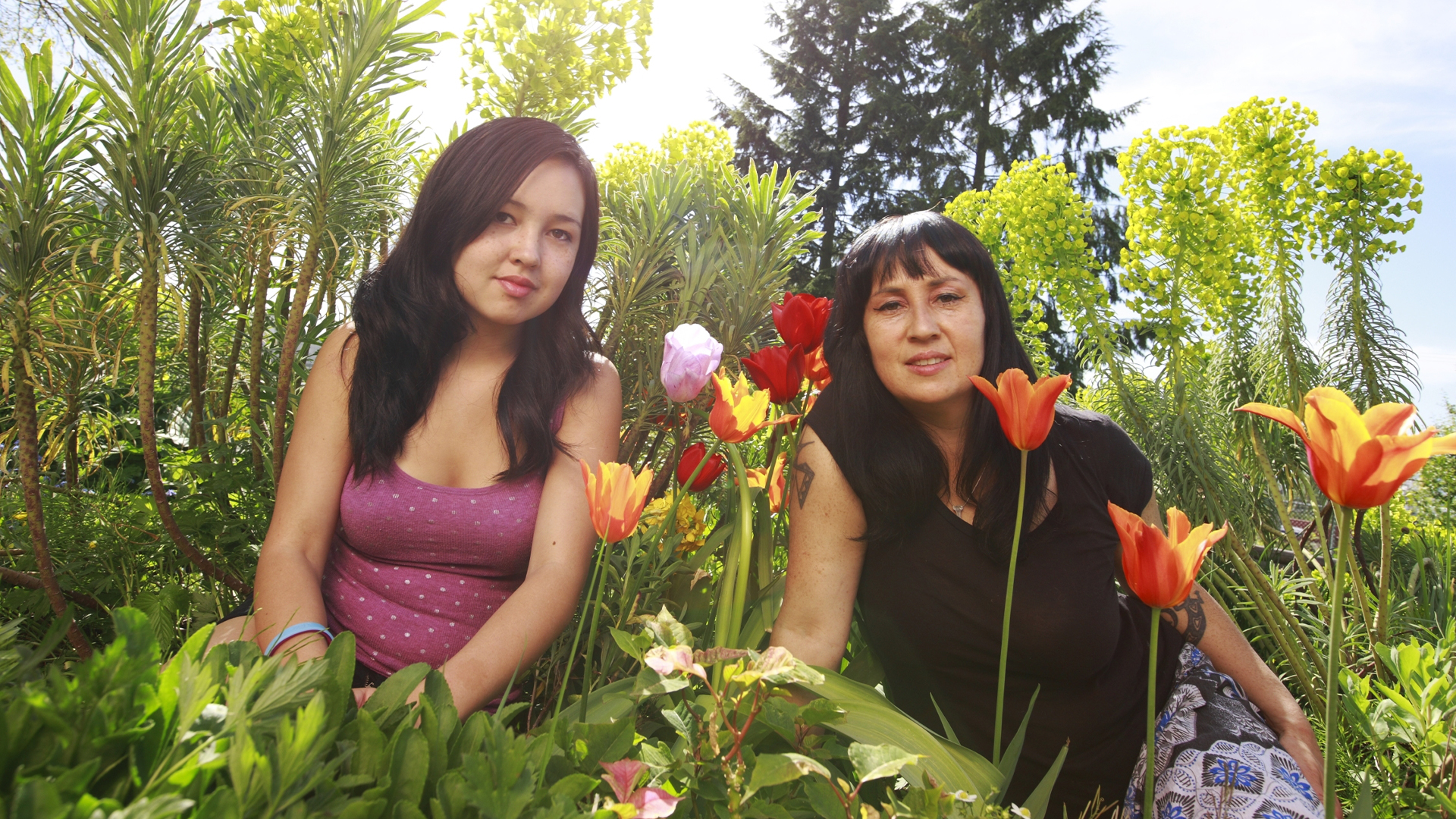 Indigenous Plant Diva