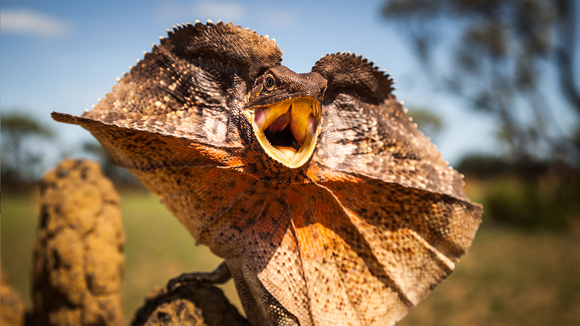 Lands of the Monsoon - E1 - Waiting For The Rains