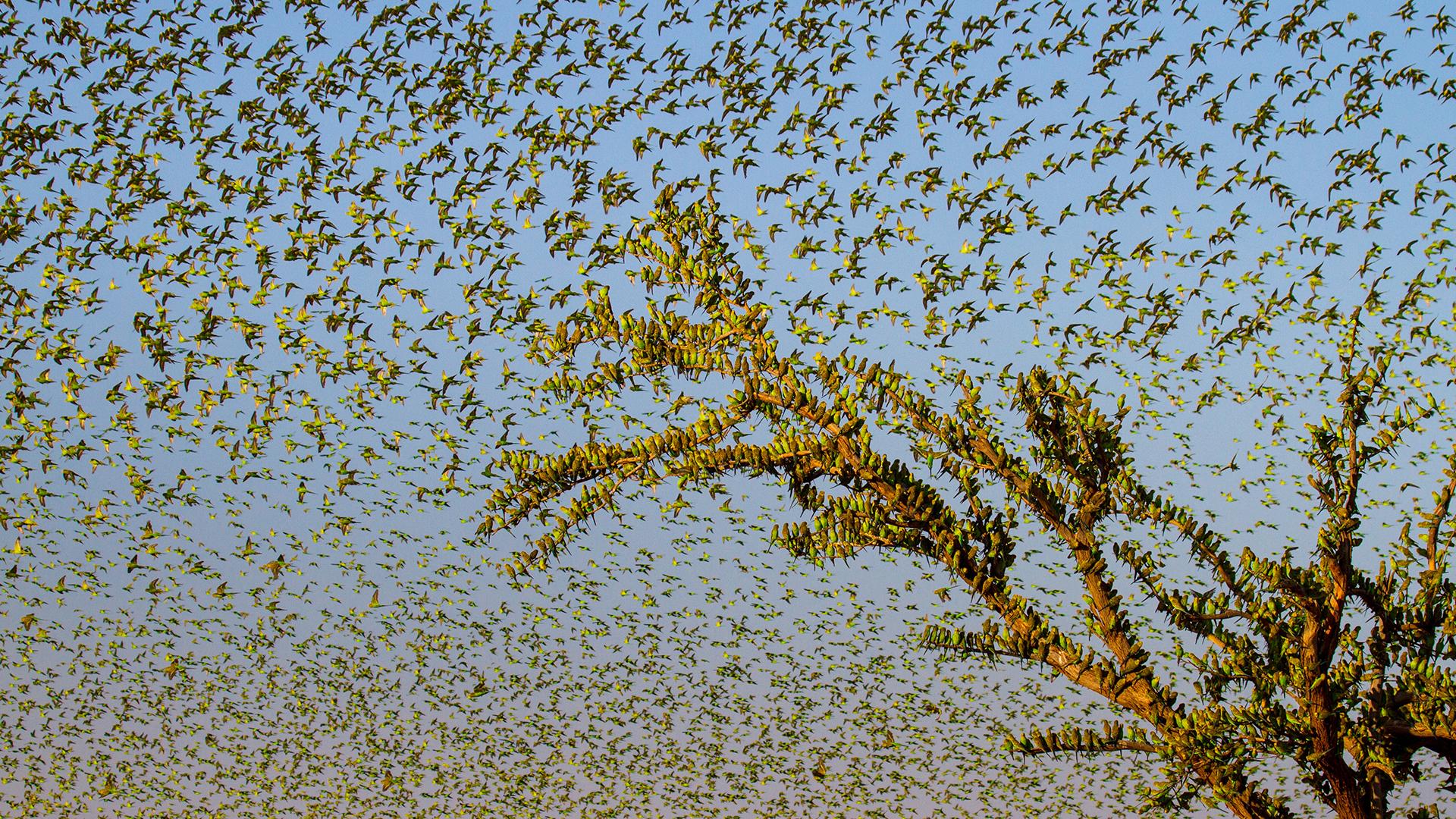 Lands of the Monsoon - E3 - The Drought