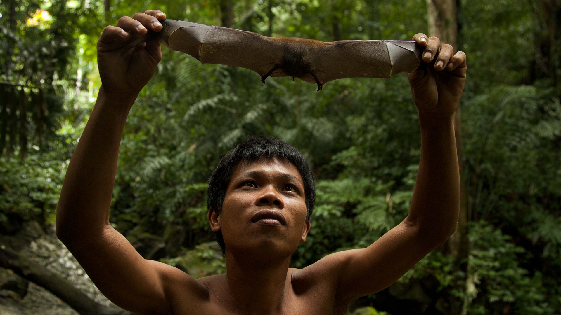 Lands of the Monsoon - E5 - People of the Monsoon