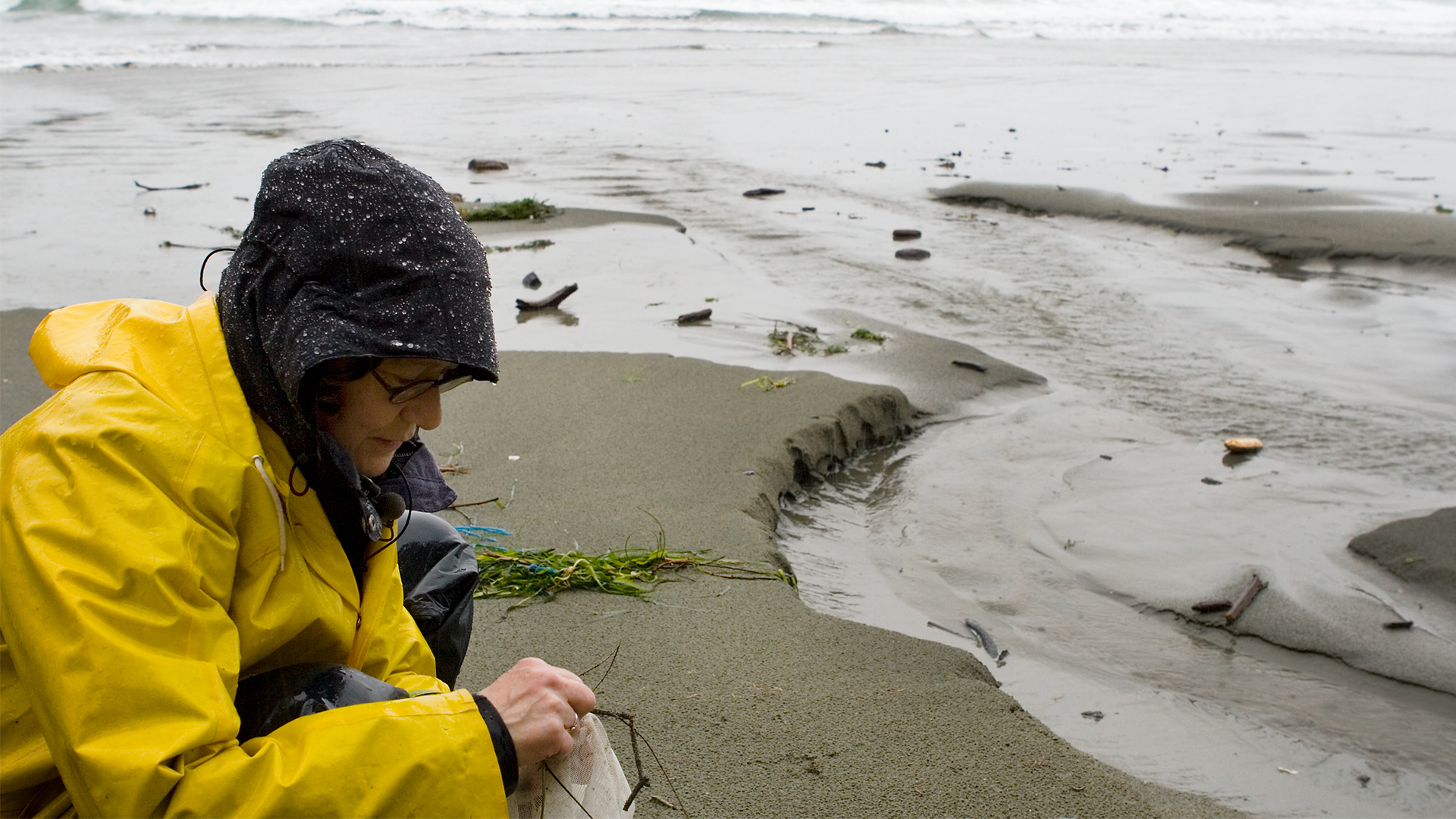 Landscape as Muse - S5E2 - Clayoquot Sound With Fae Logie