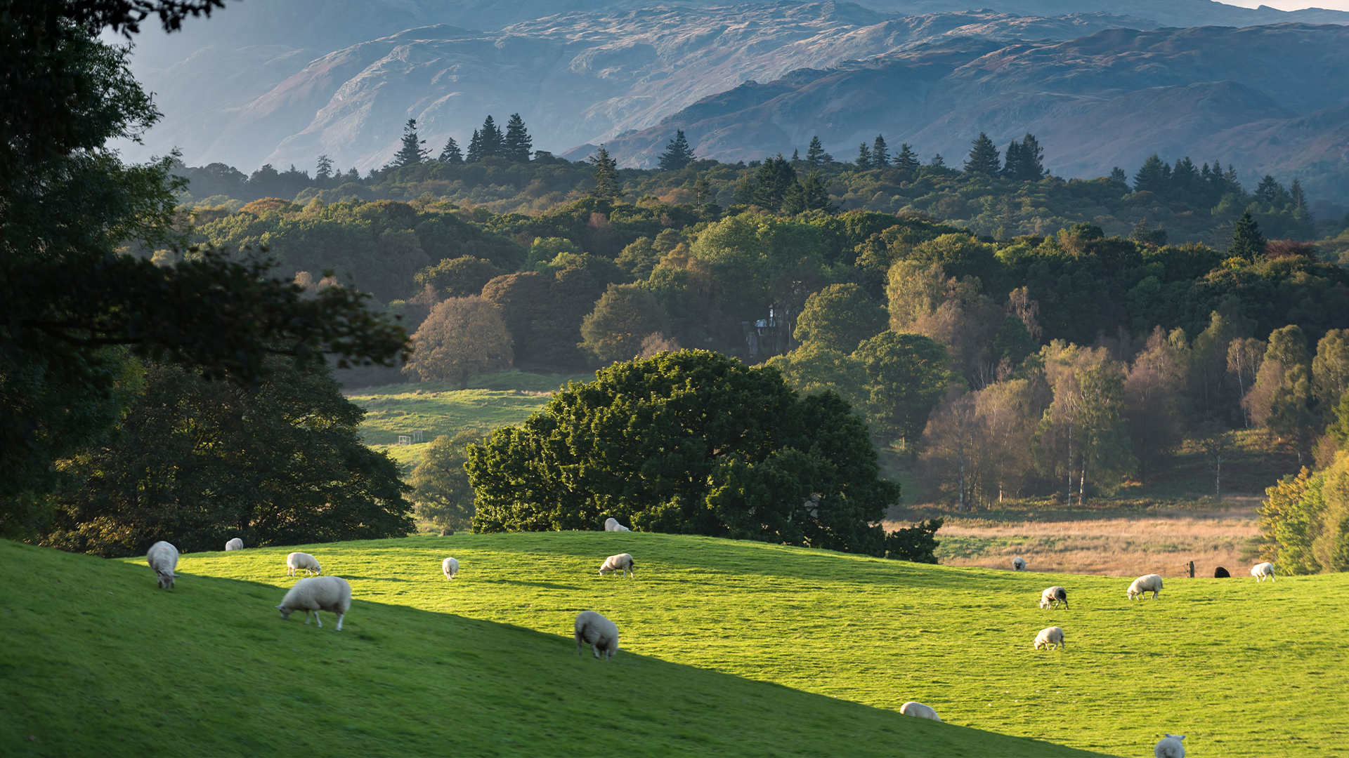 Secrets of the National Trust - S1E2 - Hill Top