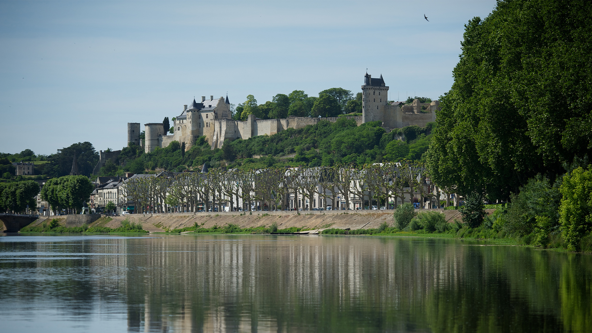 Rebel Wives: Isabella of France and Margaret of Anjou