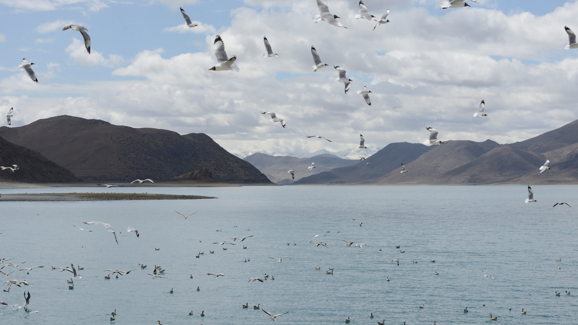 Sky River of the Himalayas - E3 - From the Plains to the Ocean