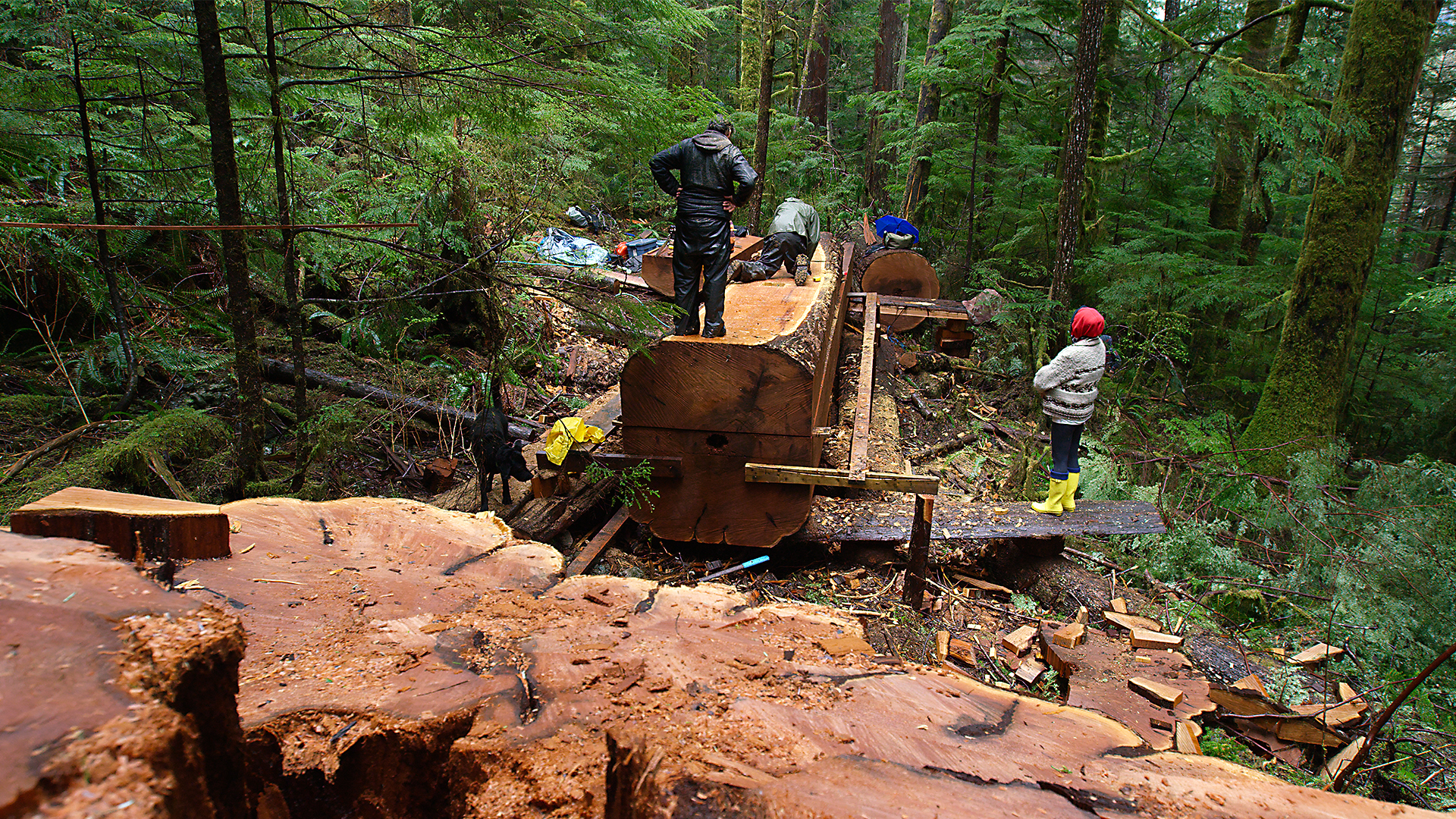 Striking Balance - E2 - Clayoquot Sound