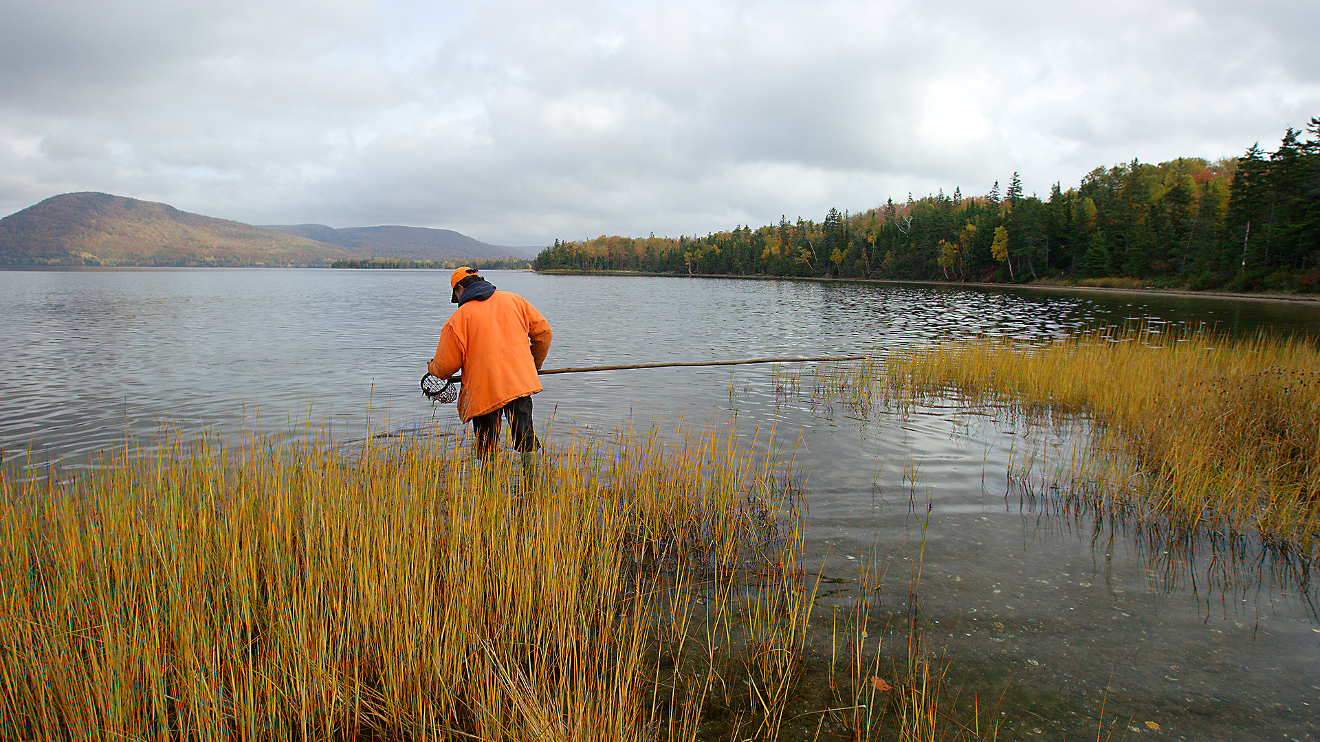 Striking Balance - E4 - Bras d'Or