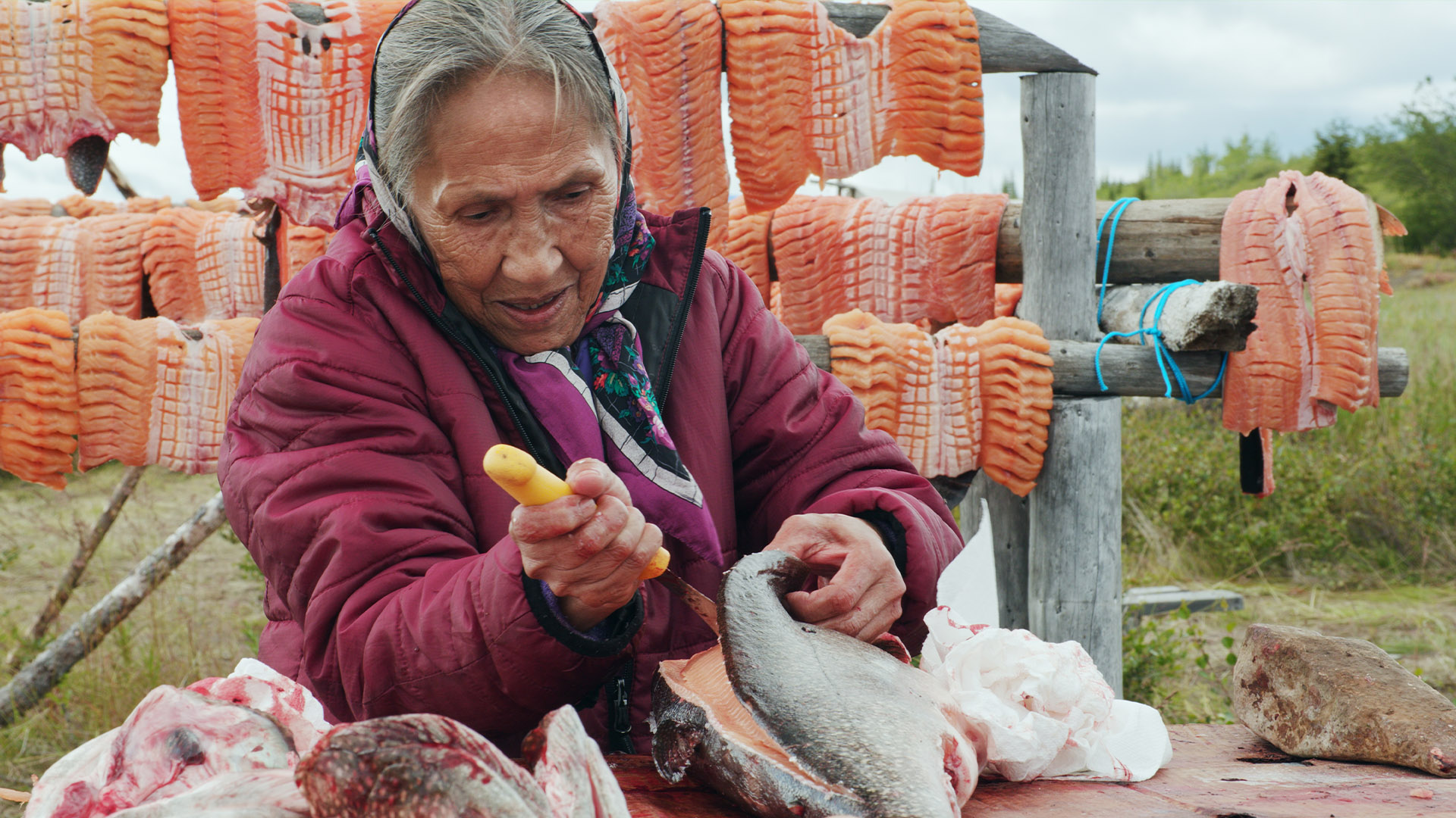 Striking Balance - S2E1 - Tsa Tue Biosphere Reserve