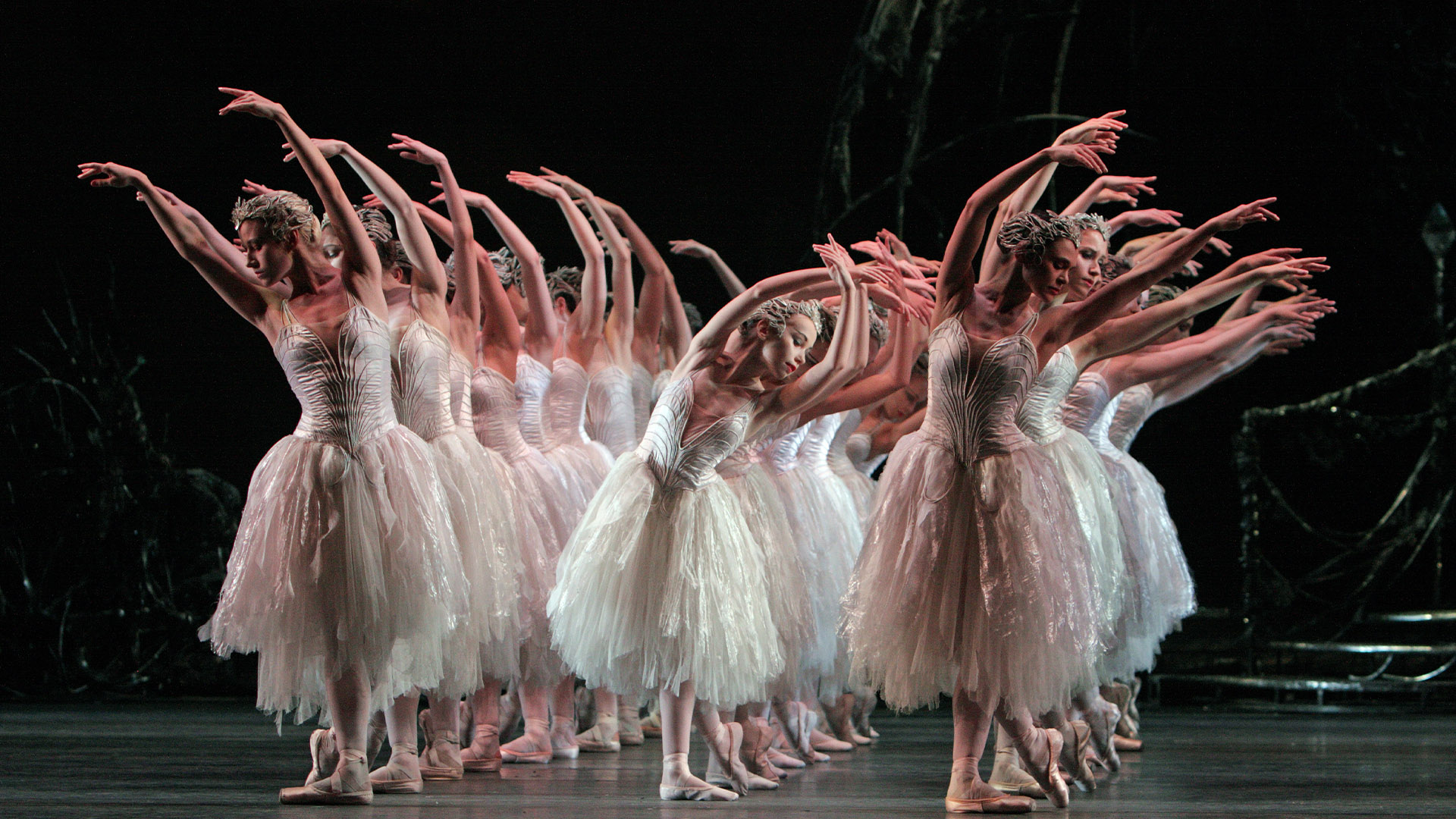 Swan Lake Swan Lake