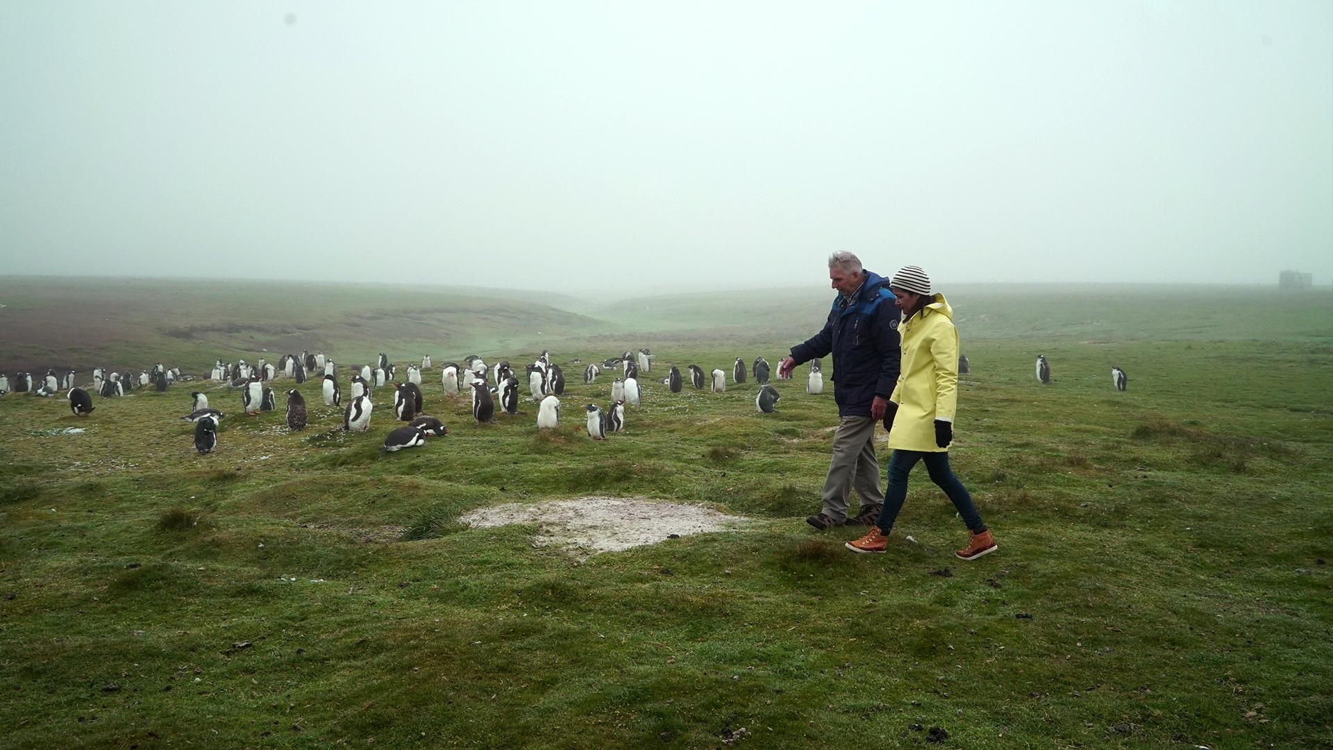 The Island Diaries - S2E8 - Falkland Islands