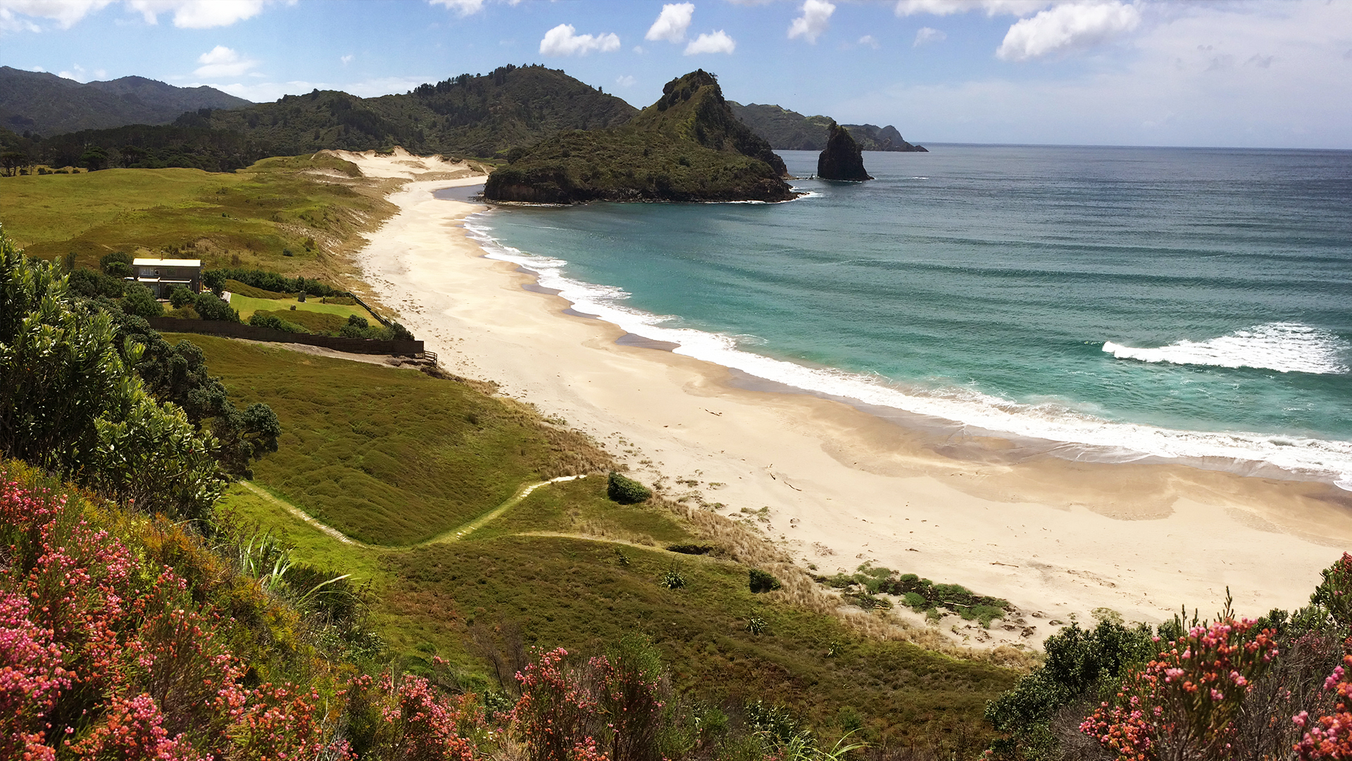 The Island Diaries - S2E1 - Great Barrier Island