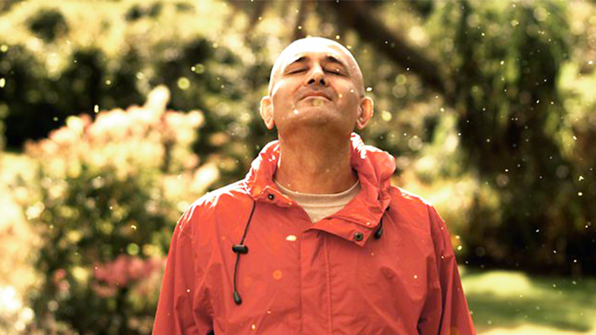 The Secrets of Quantum Physics - E2 - Let There Be Life