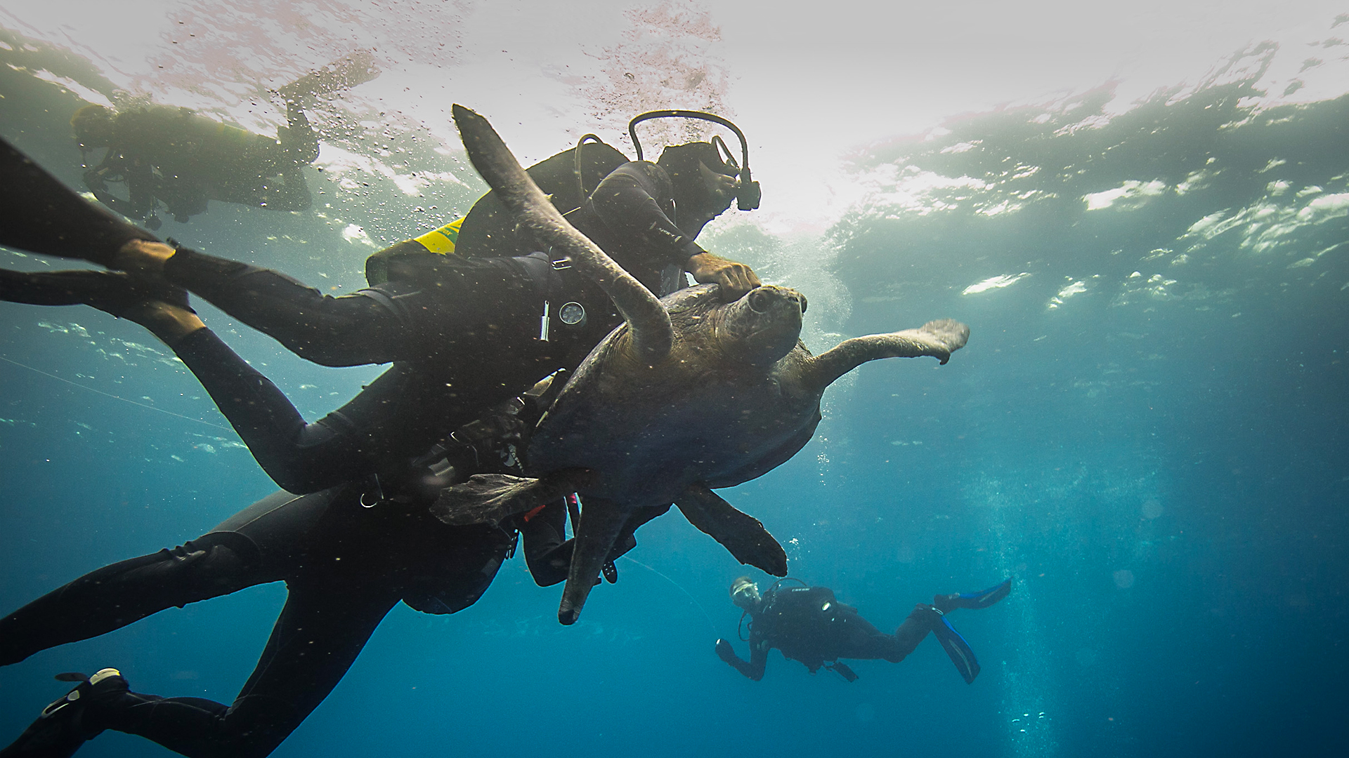 The Water Brothers - S3E2 - Underwater Highways