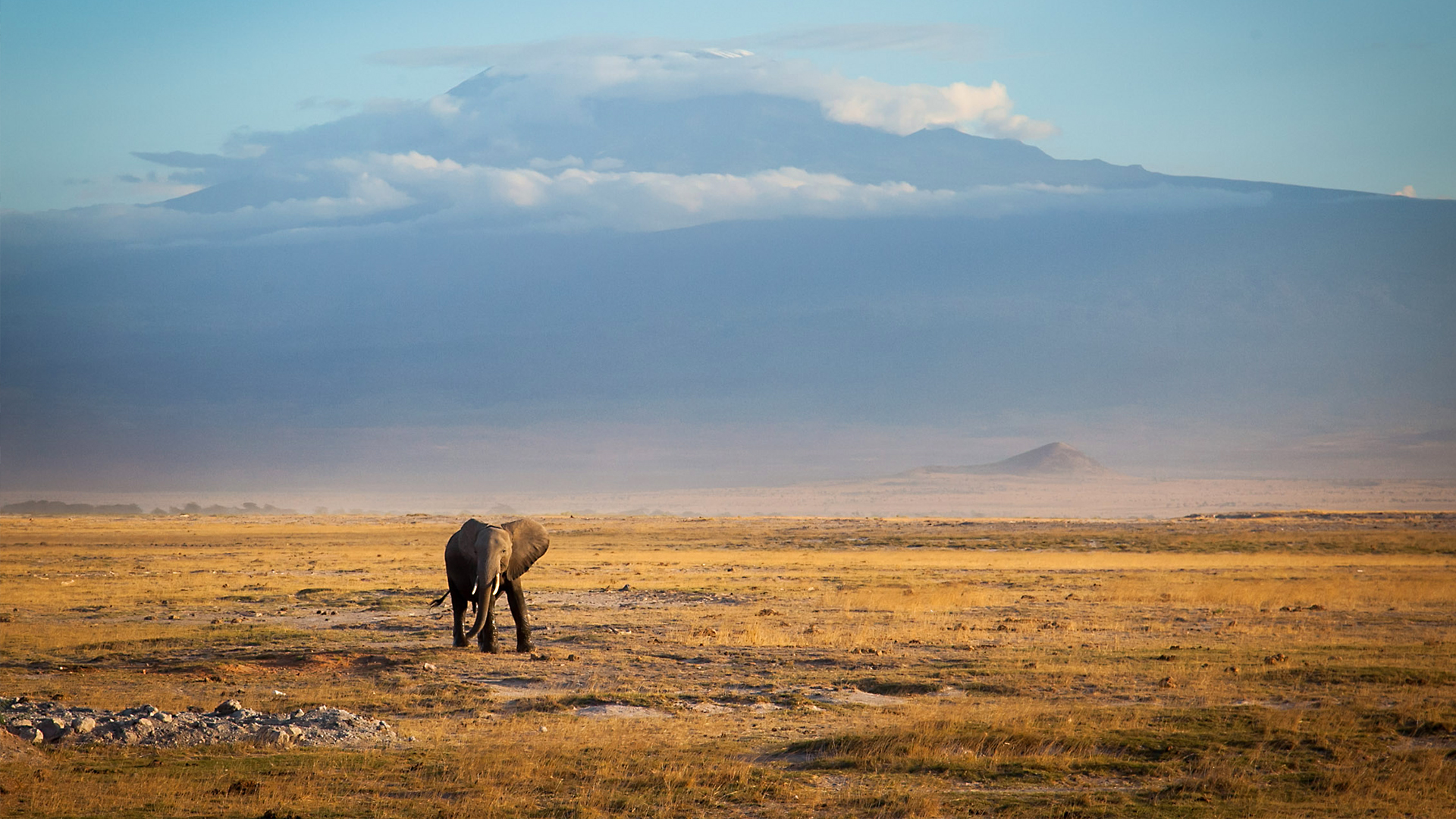 The Water Brothers - S2E2 - No Woman, No Water