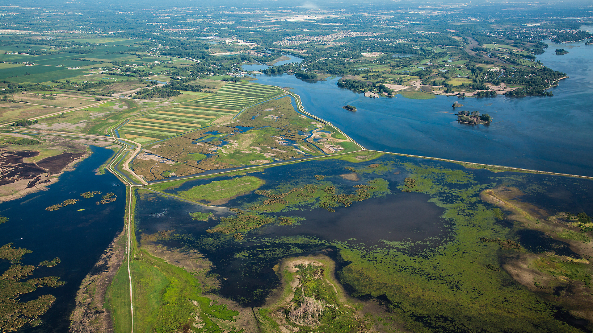The Water Brothers - S2E4 - Dead Zones 