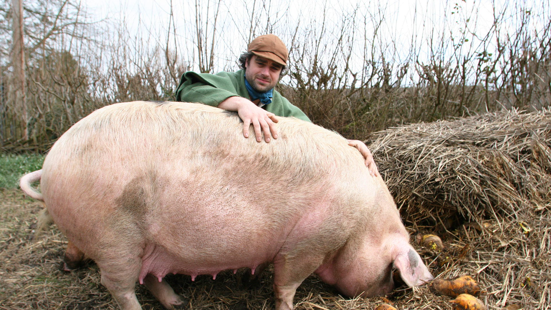 Victorian Farm - E4 - Victorian Farm