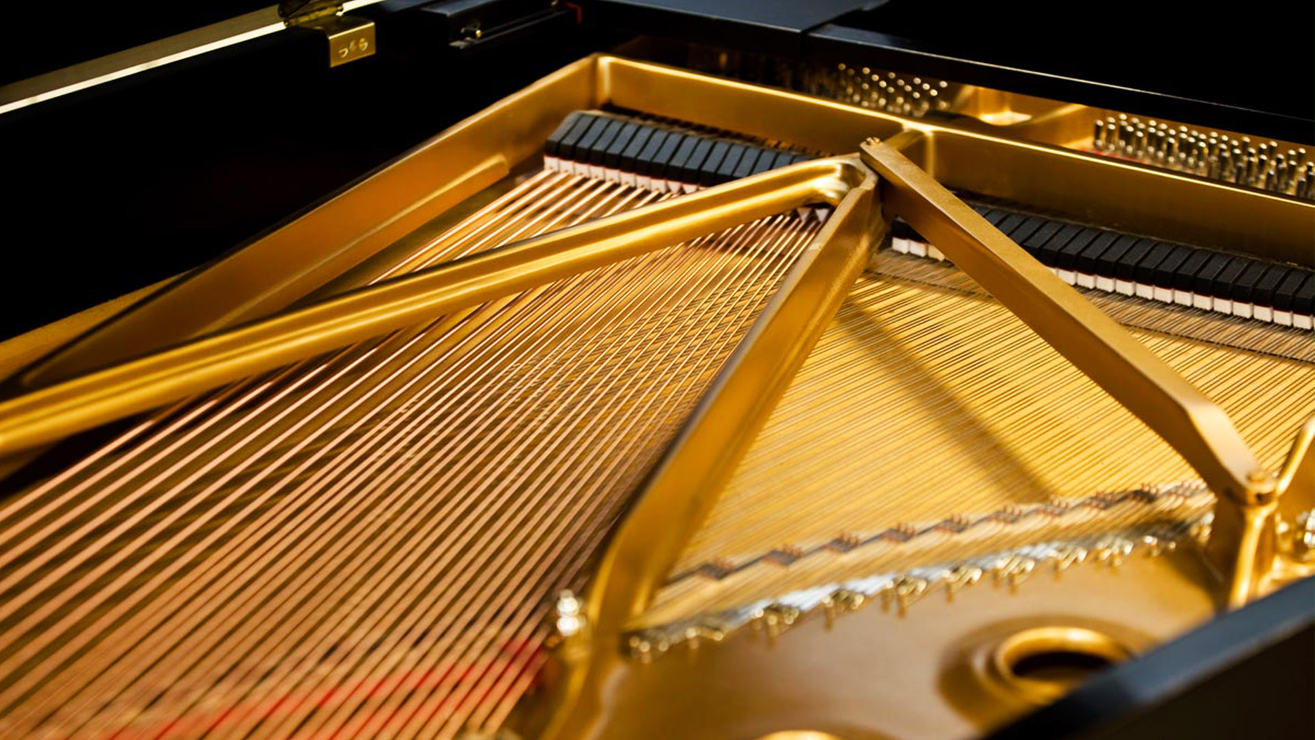 Vincent Boucher in Recital