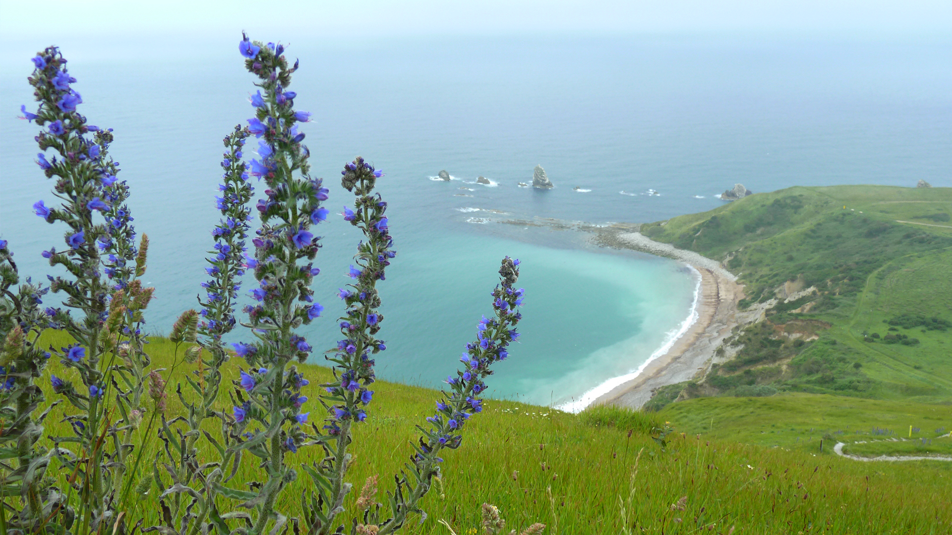 Walking Through History - S1E1 - Frontline Dorset