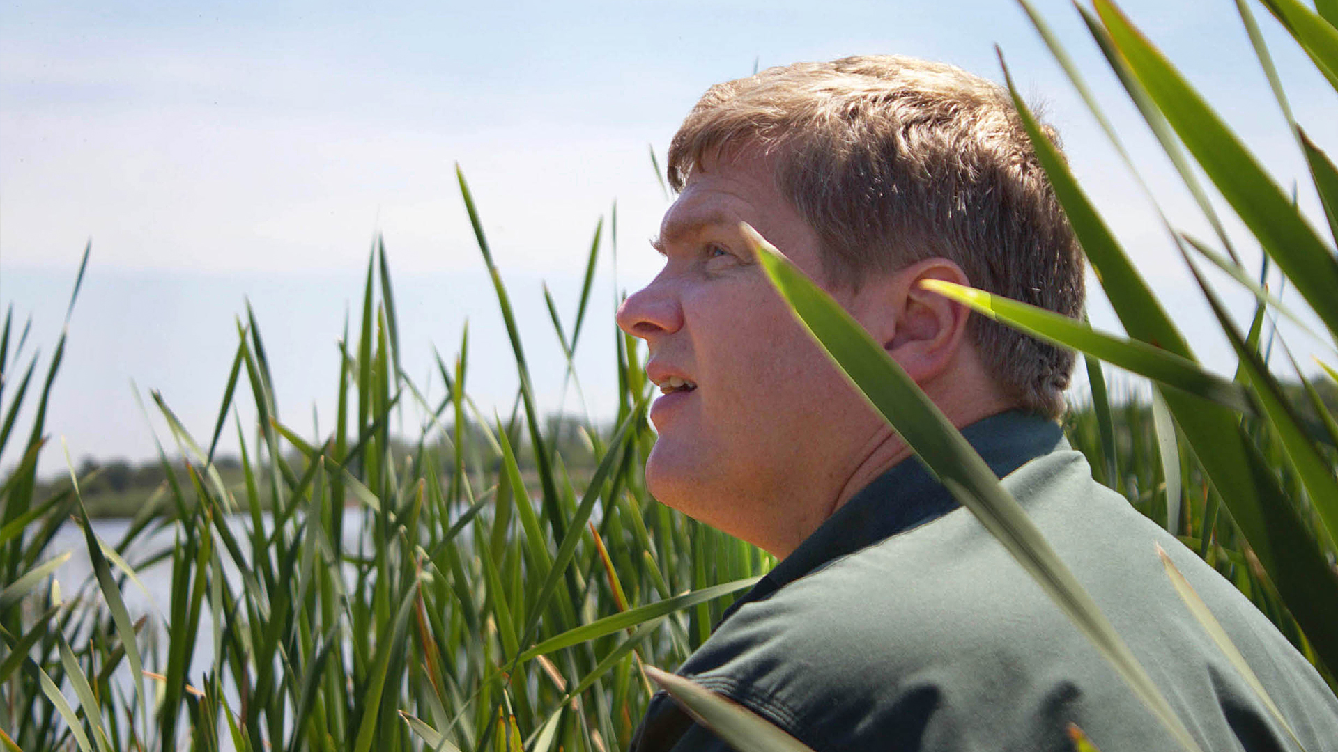 Wild Britain With Ray Mears - E4 - Wild Britain With Ray Mears